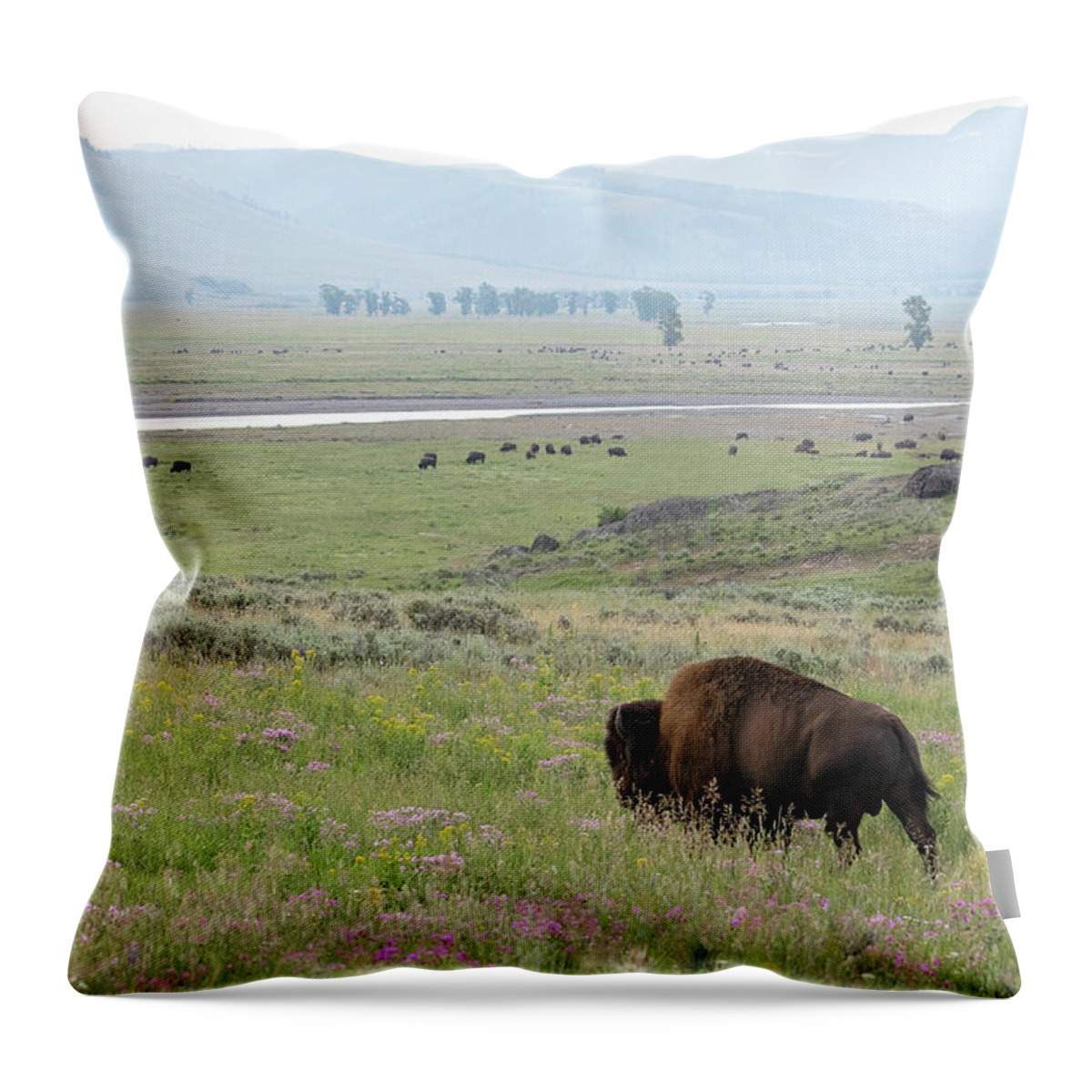 Bison Throw Pillow featuring the photograph King of the Valley by Eilish Palmer
