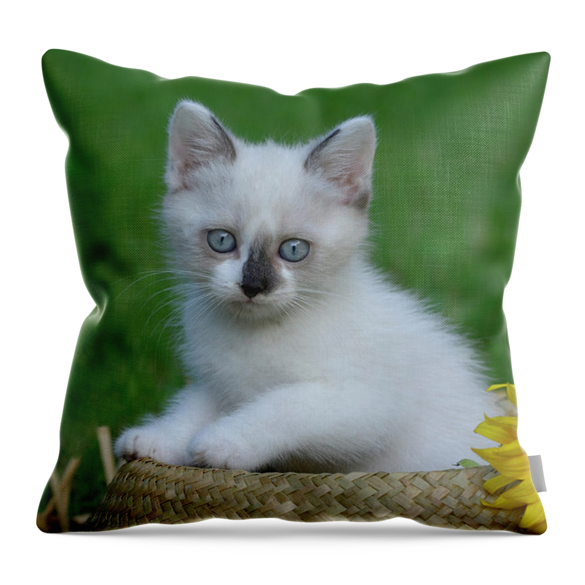 Pets Throw Pillow featuring the photograph Kitten Sitting In Straw Hat by Cornelia Doerr