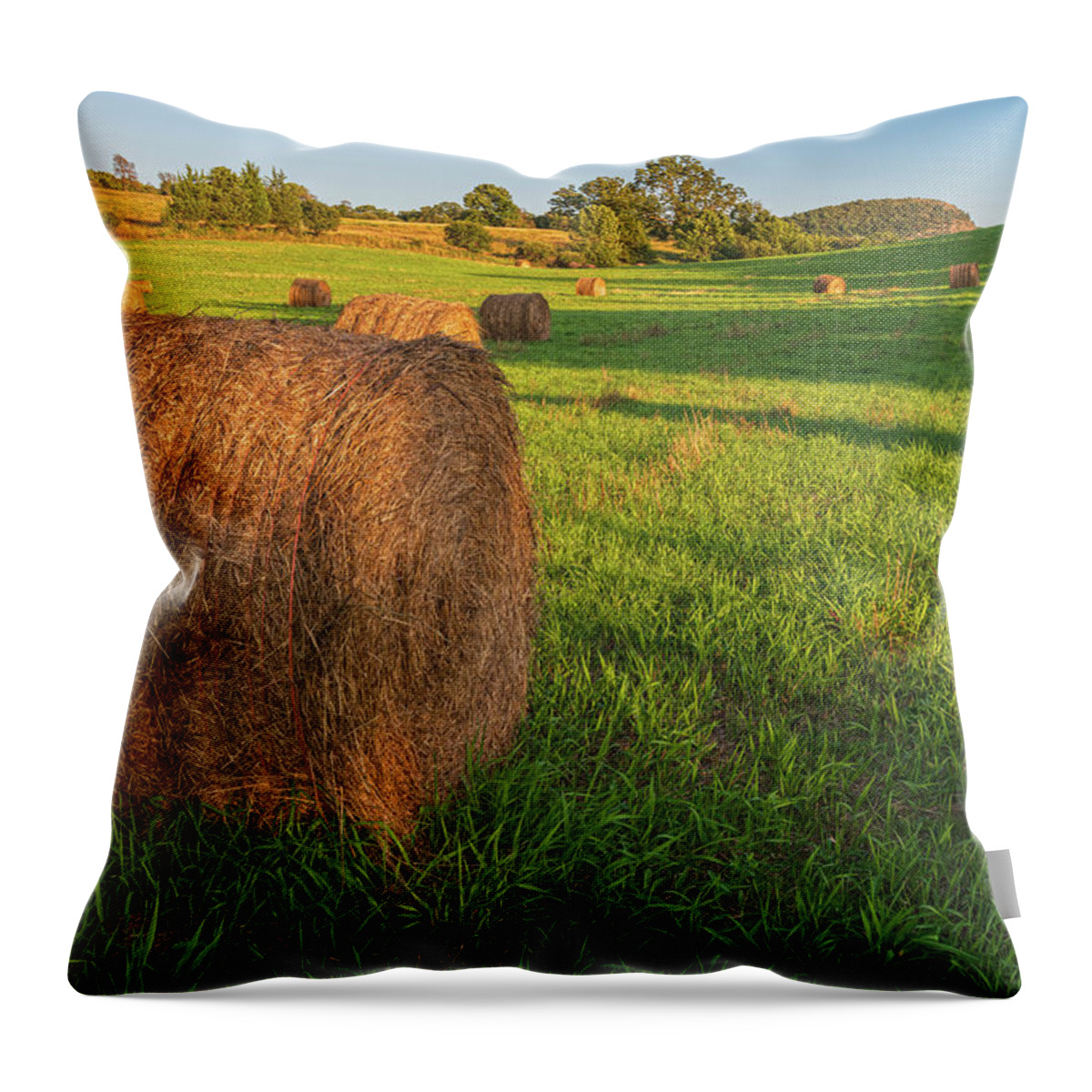 Hay Bales Throw Pillow featuring the photograph Knapp's View Hay Bales by Angelo Marcialis