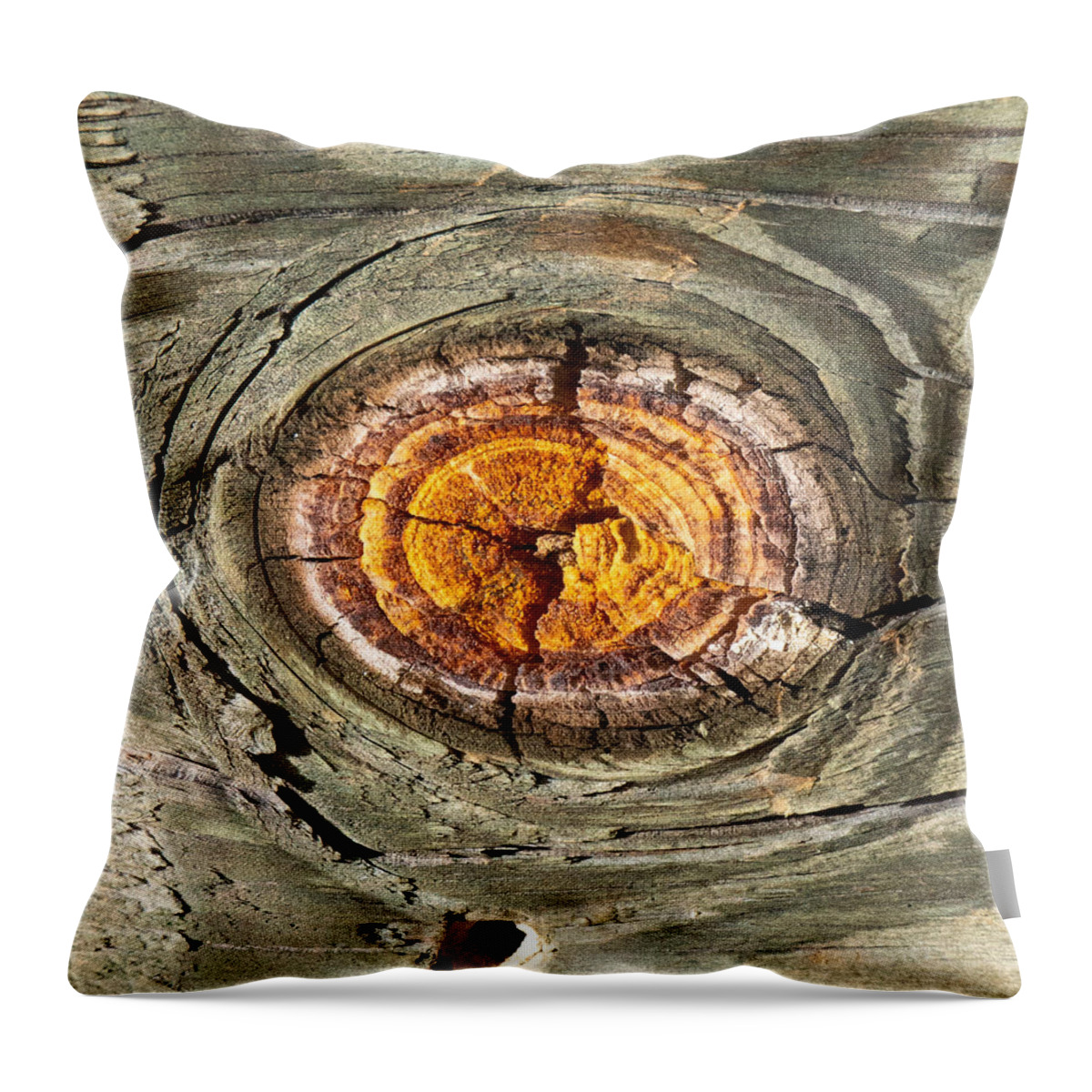 Tree Throw Pillow featuring the photograph Knot by Ivars Vilums