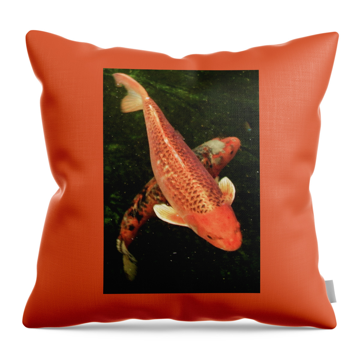 Koi Throw Pillow featuring the photograph Koi 2018 A by Phyllis Spoor