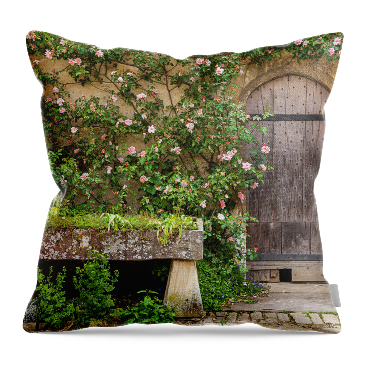 3scape Throw Pillow featuring the photograph Lacock Abbey Courtyard Door by Adam Romanowicz