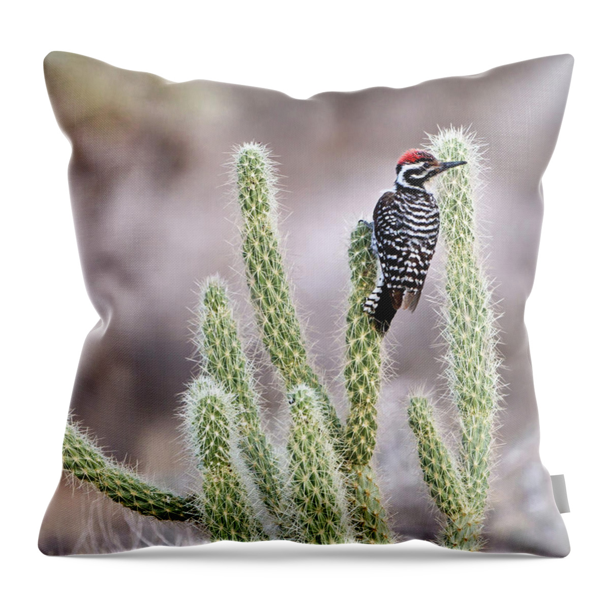 Cholla Cactus Throw Pillow featuring the photograph Ladder Backed Woodpecker Resting On by Photo By Patricia Ware
