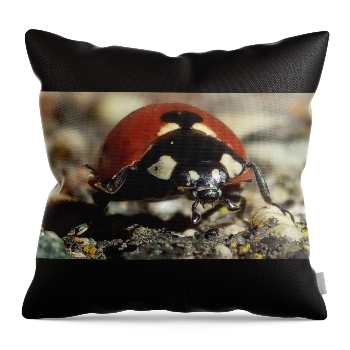 Ladybug Throw Pillow featuring the photograph Ladybug Macro Photography by Delynn Addams