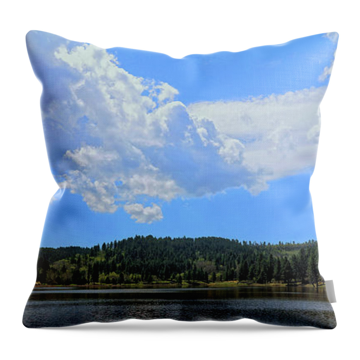 Lake Throw Pillow featuring the photograph Cook Lake by Doolittle Photography and Art