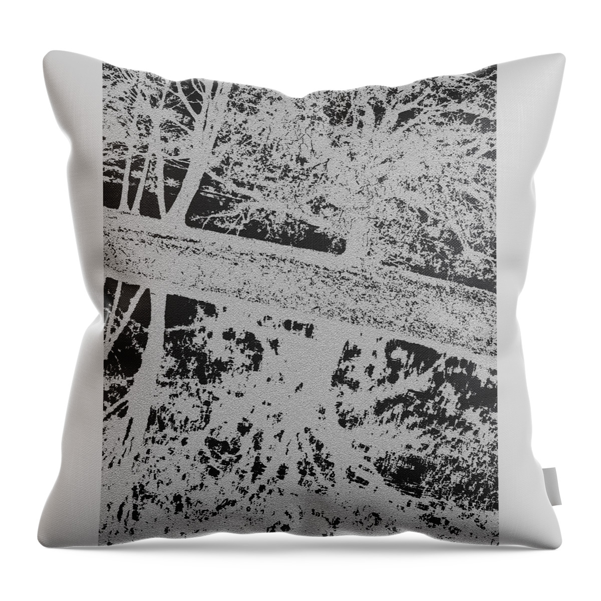 Park Throw Pillow featuring the digital art Langan Park - Tree Reflections on a Slant - Silver and Black by Marian Bell