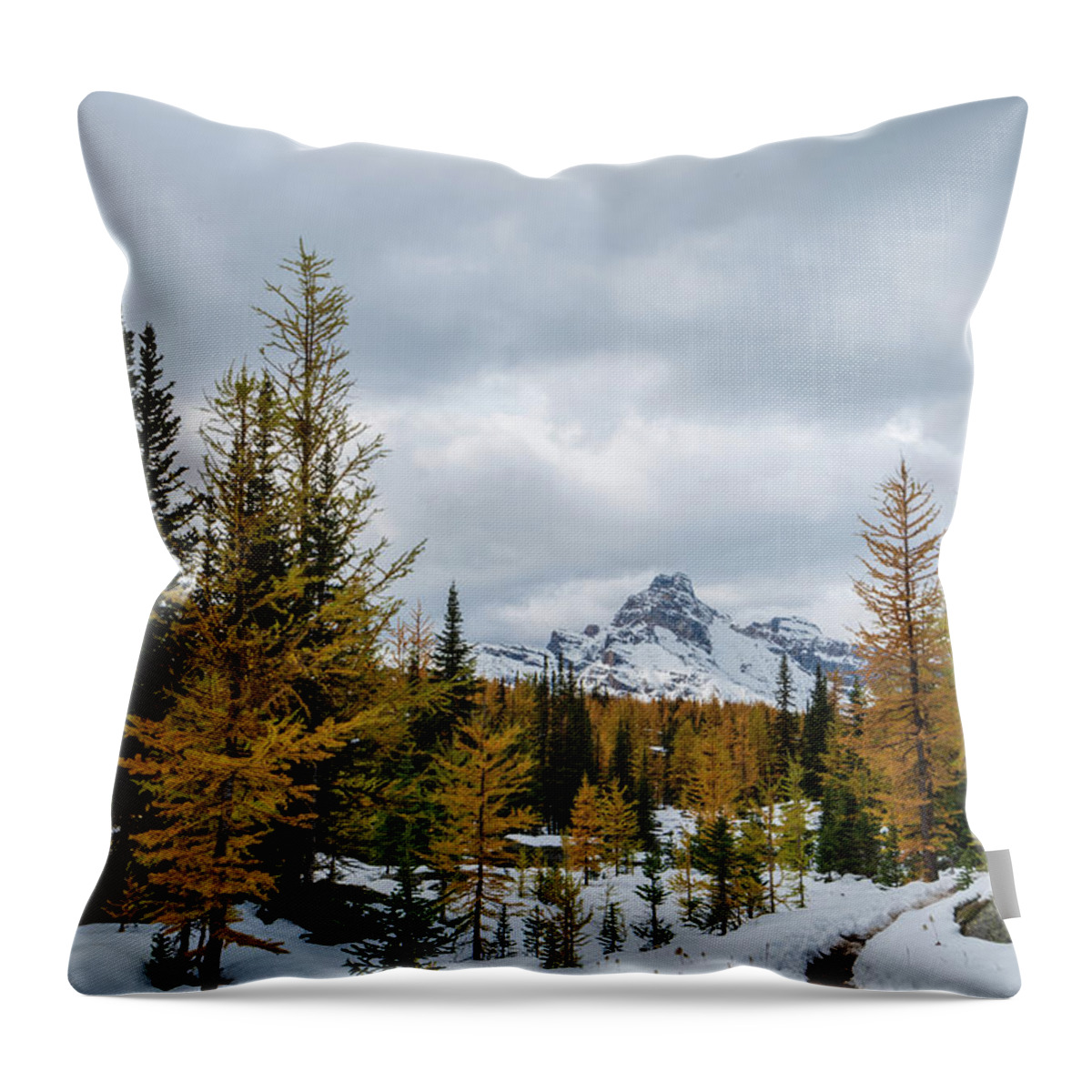 Outdoor; Peaks; Reflection; Larches; Snow; Mountains; Wiwaxy Peaks; Yoho National Park; Rocky Mountains; British Columbia; Canada Throw Pillow featuring the digital art Larches in West Opabin Trail by Michael Lee