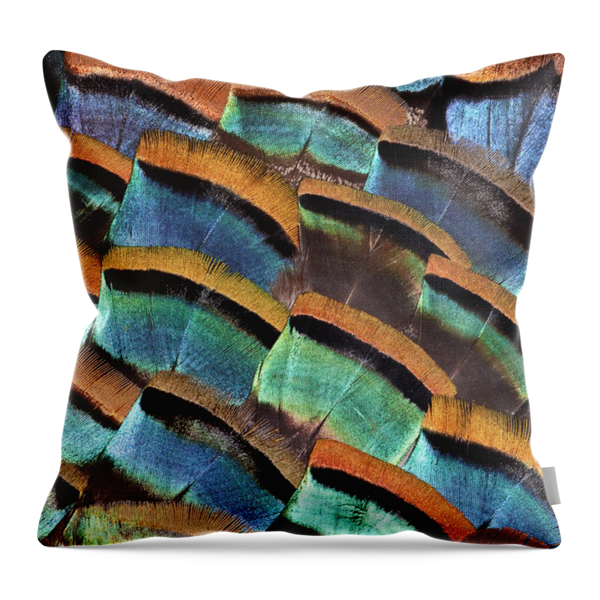 In A Row Throw Pillow featuring the photograph Large Feather Design Of Oscellated by Darrell Gulin
