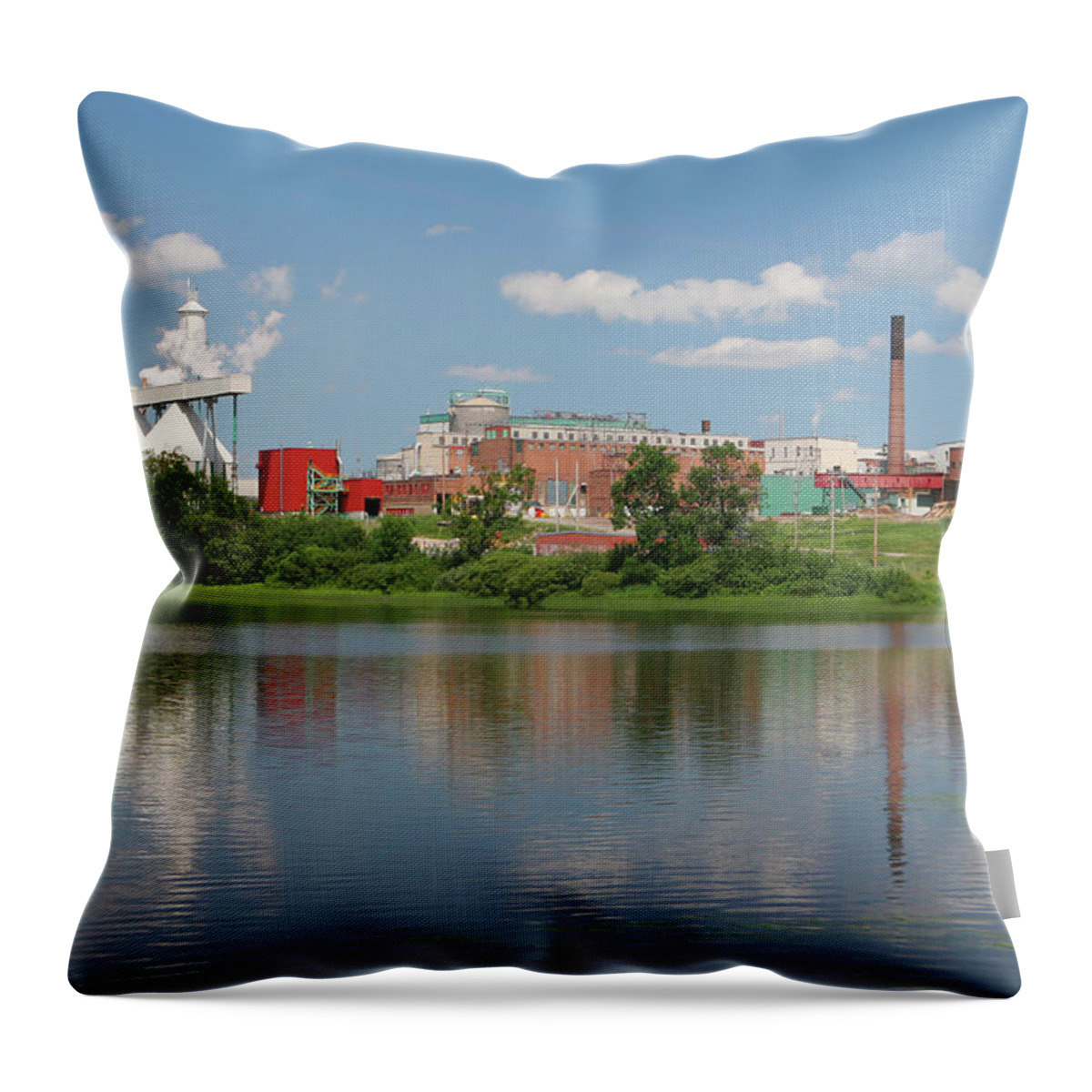 Problems Throw Pillow featuring the photograph Large Pulp And Paper Industry by Buzbuzzer