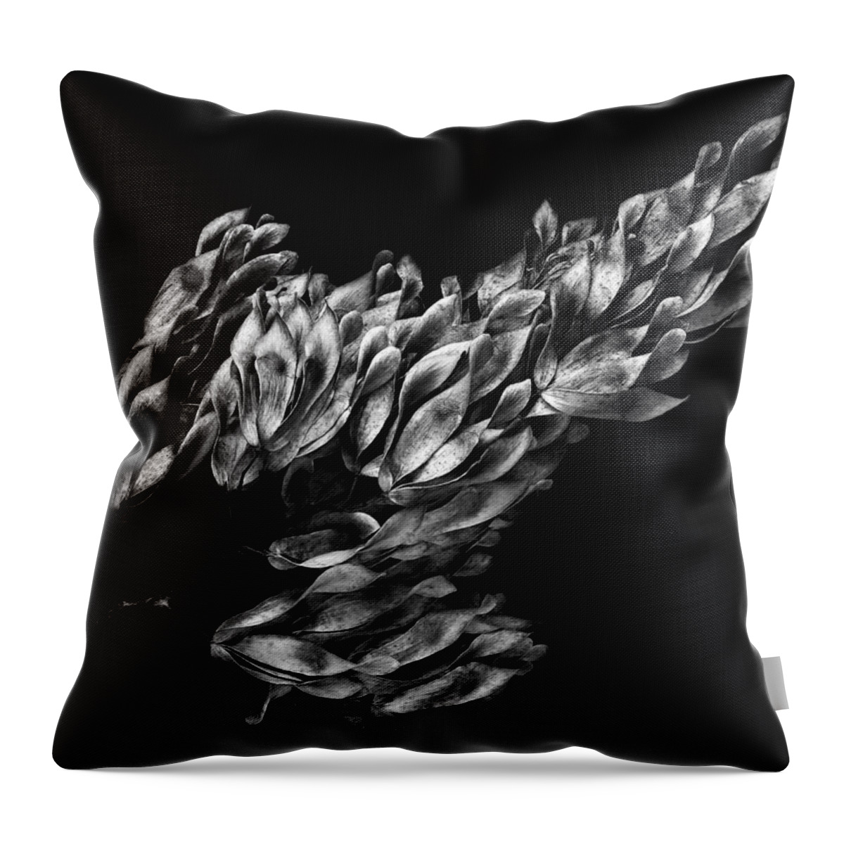 Seeds Throw Pillow featuring the photograph Large Seed Pod Cluster by Robert Woodward
