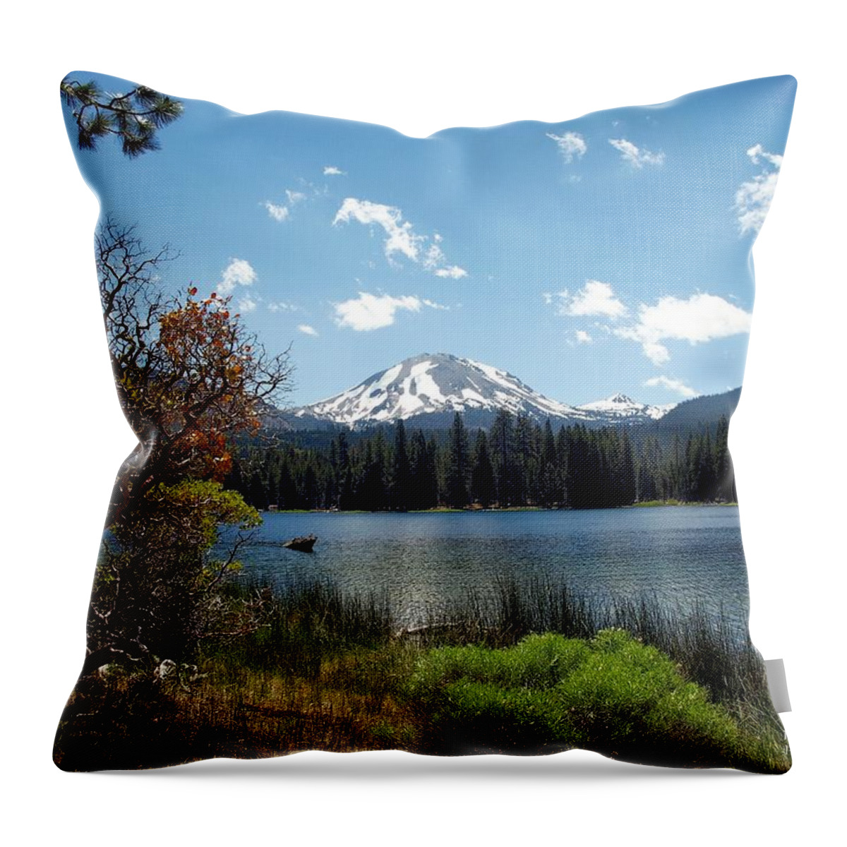 Adventure Throw Pillow featuring the photograph Lassen Summer Vacation by Richard Thomas
