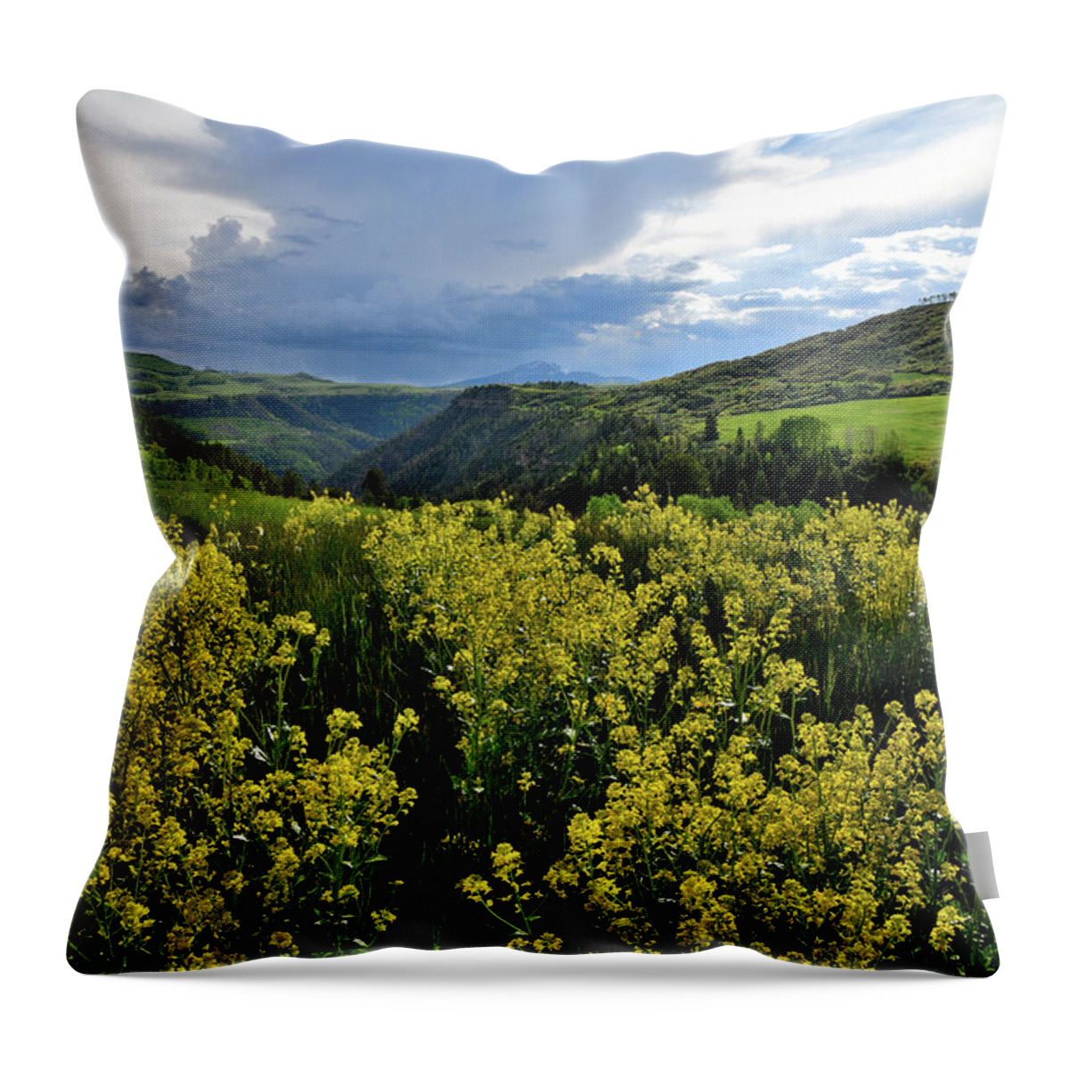 Colorado Throw Pillow featuring the photograph Last Dollar Road Scene West of Telluride by Ray Mathis