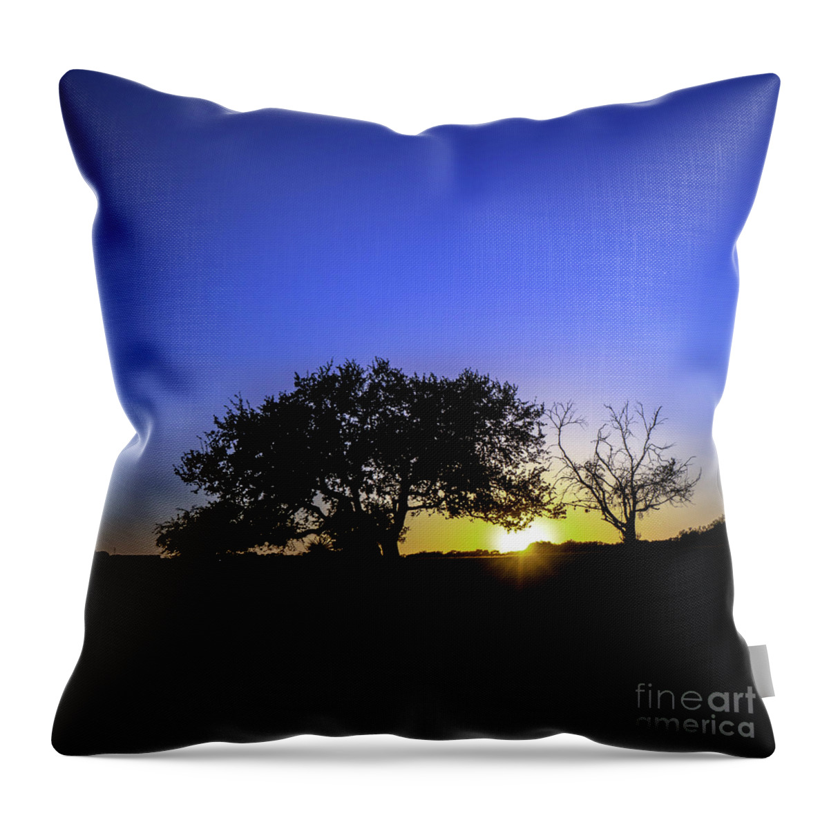 Moonlit Throw Pillow featuring the photograph Last Light Texas Hill Country Paradise Canyon Sunset 8053C by Ricardos Creations