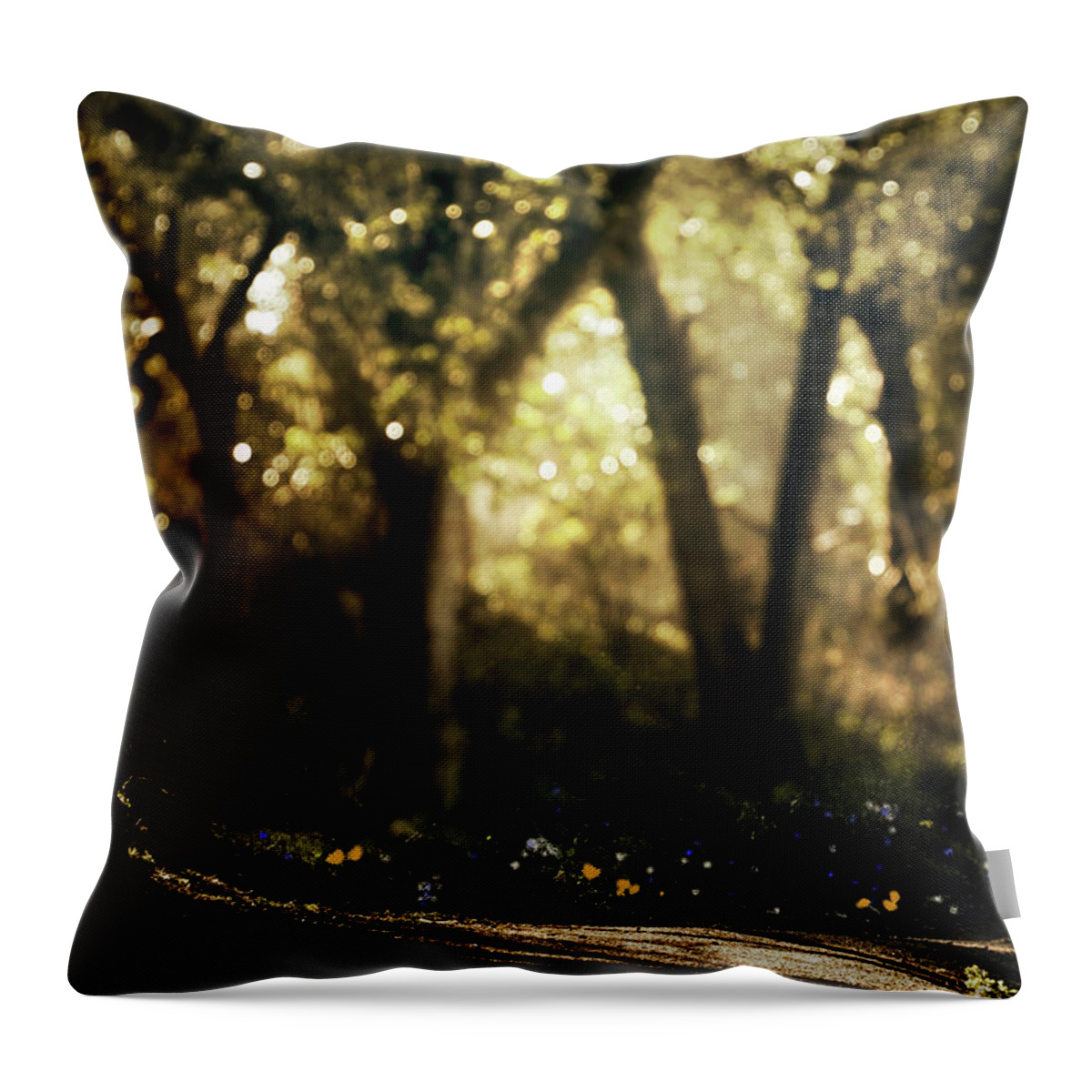  Throw Pillow featuring the photograph Late Afternoon by Cybele Moon