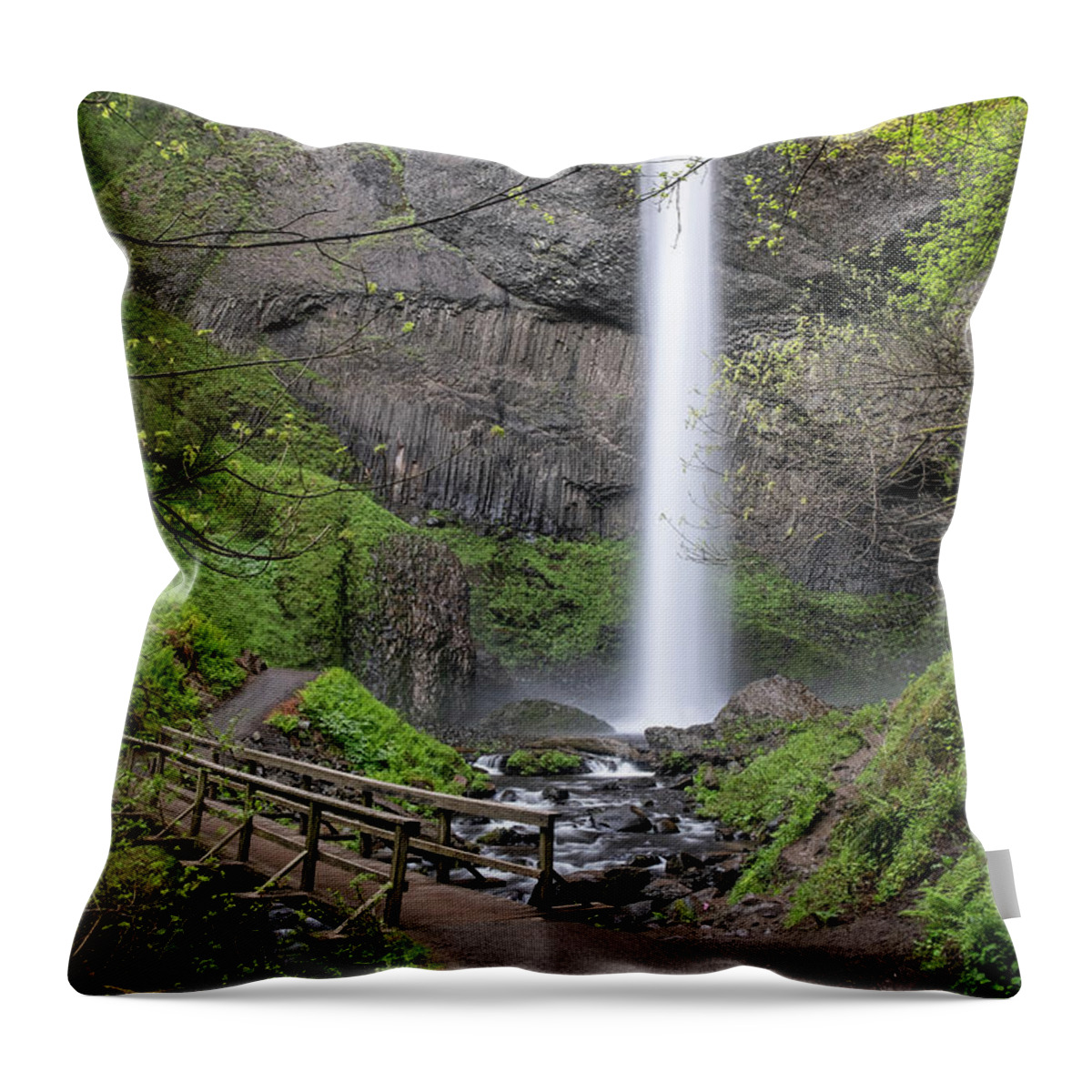Oregon Throw Pillow featuring the photograph Latourell Falls by Nicole Young