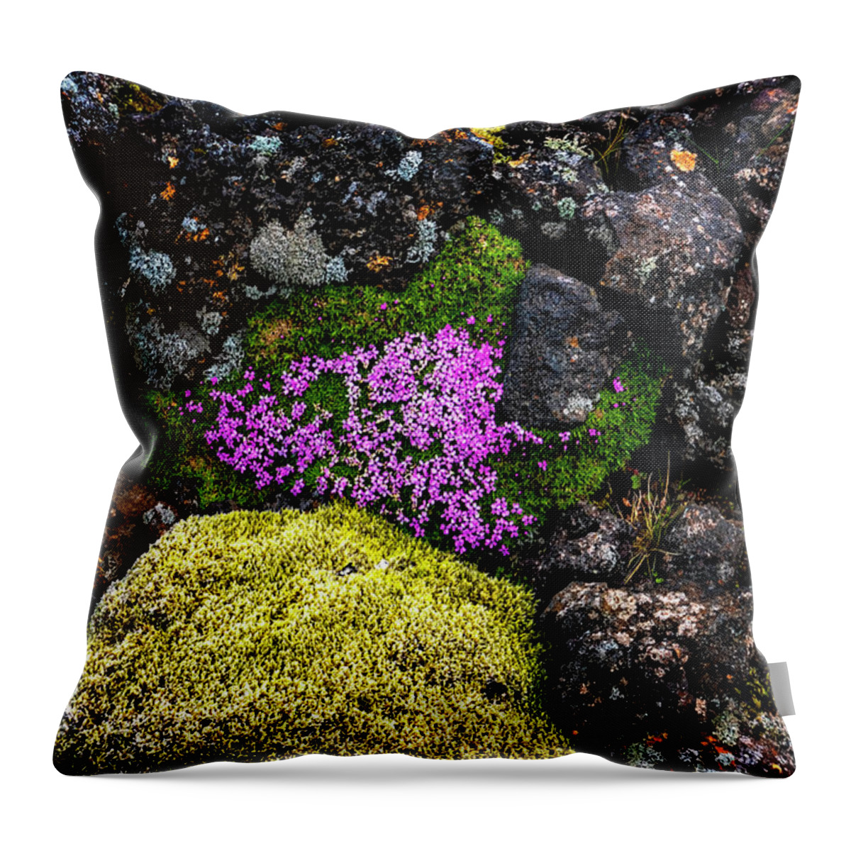 Iceland Throw Pillow featuring the photograph Lava Rocks And Flowers by Tom Singleton
