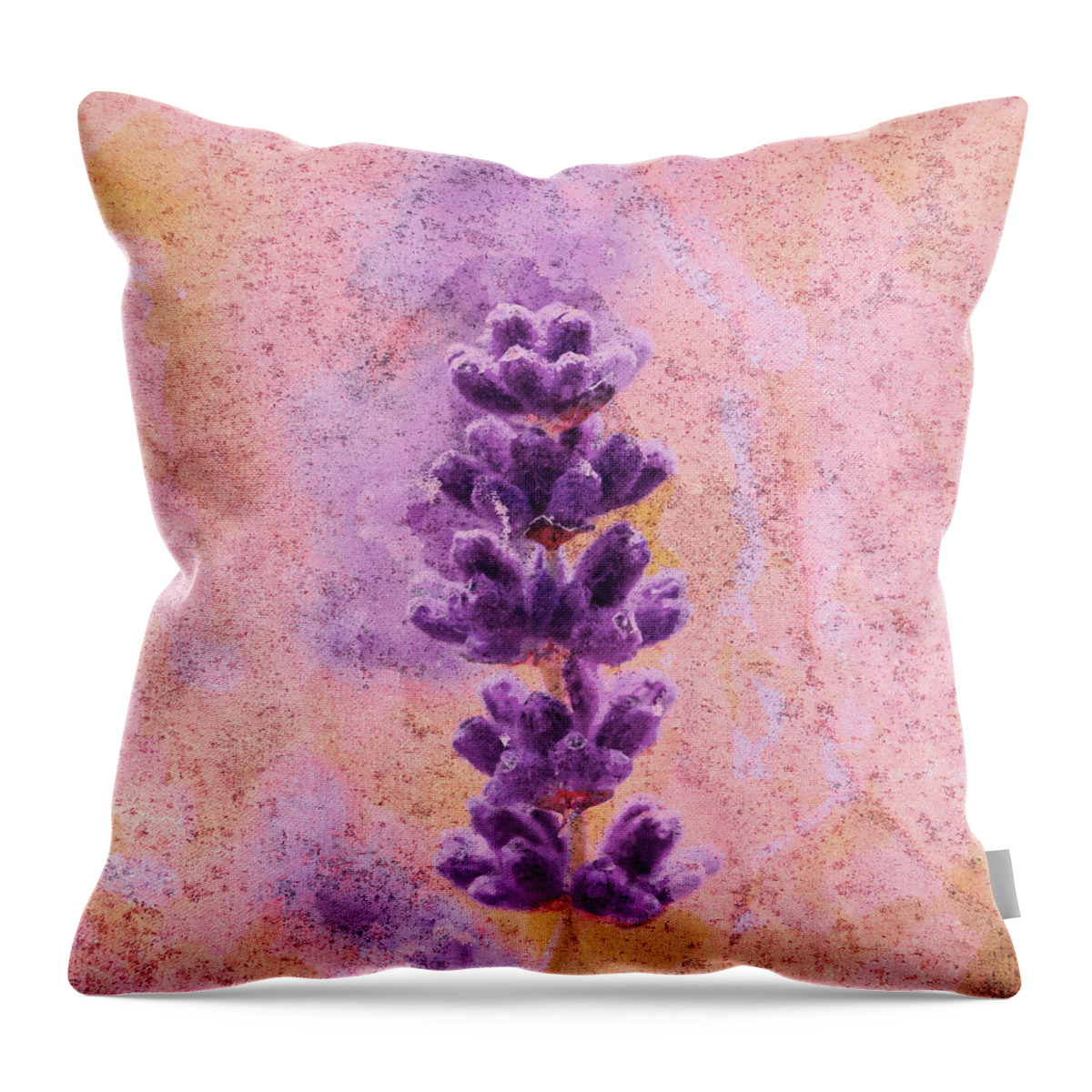 Flower Throw Pillow featuring the photograph Lavandula Beauty by Tanya C Smith