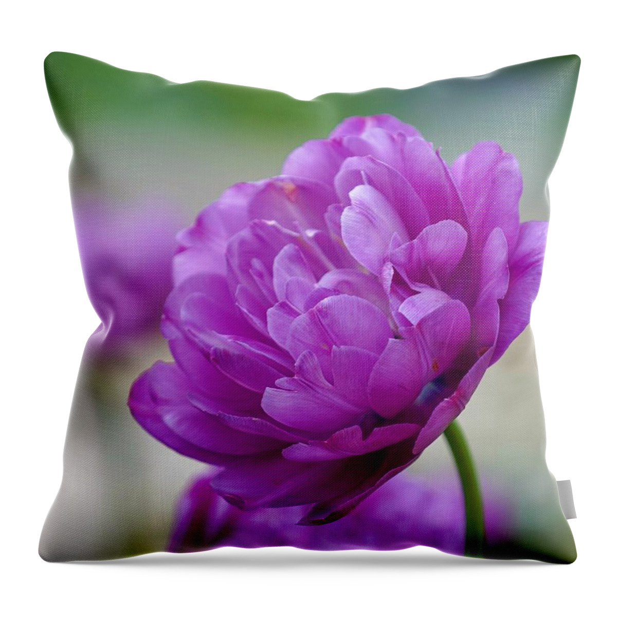 Beautiful Throw Pillow featuring the photograph Lavender Tulip by Susan Rydberg