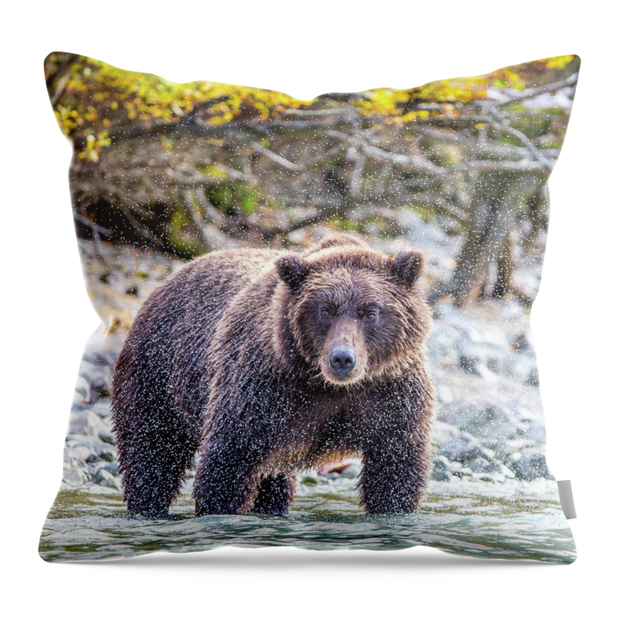 Alaska Throw Pillow featuring the photograph Frozen Shake by Kevin Dietrich