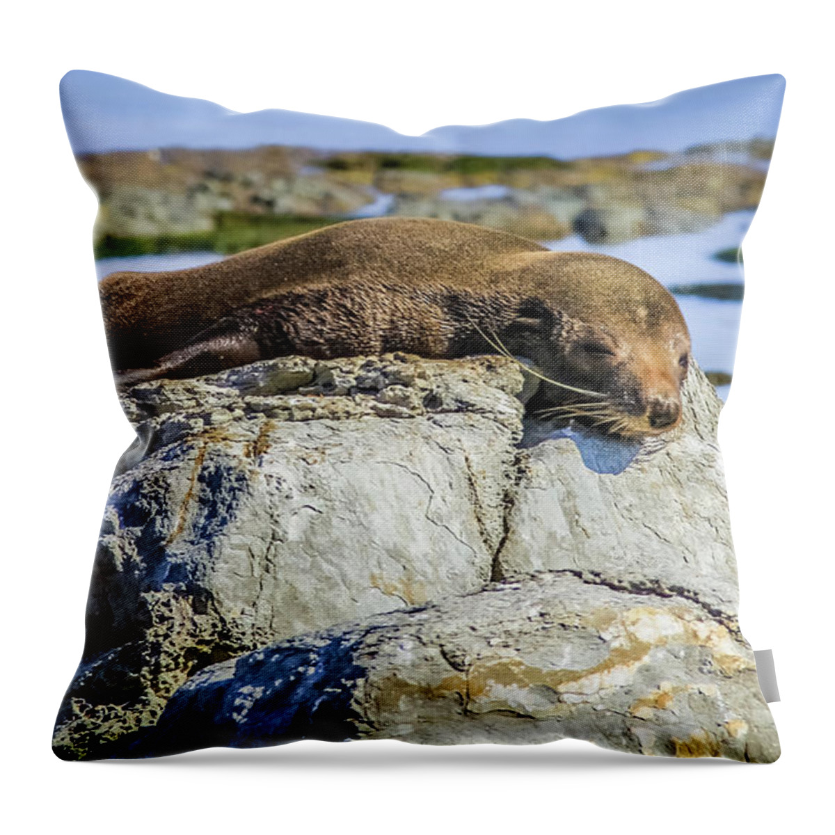 Seal Throw Pillow featuring the photograph Lazy fur seal on a rock, Cape Foulwind, New Zealand by Lyl Dil Creations