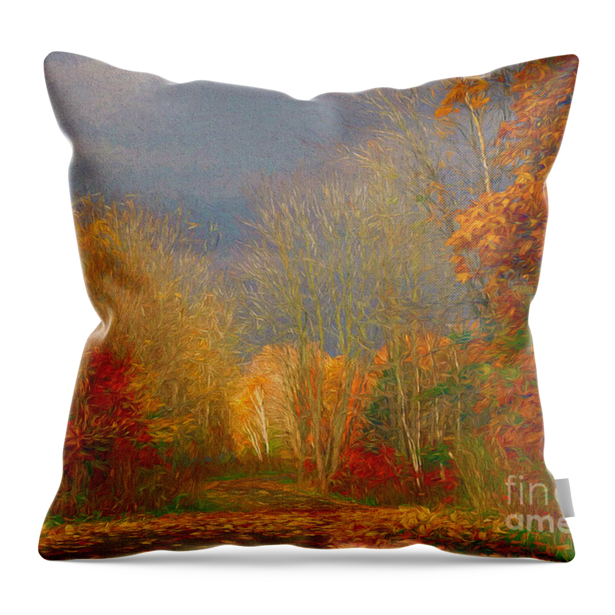 Path Throw Pillow featuring the photograph Autumn Chances by Carol Randall