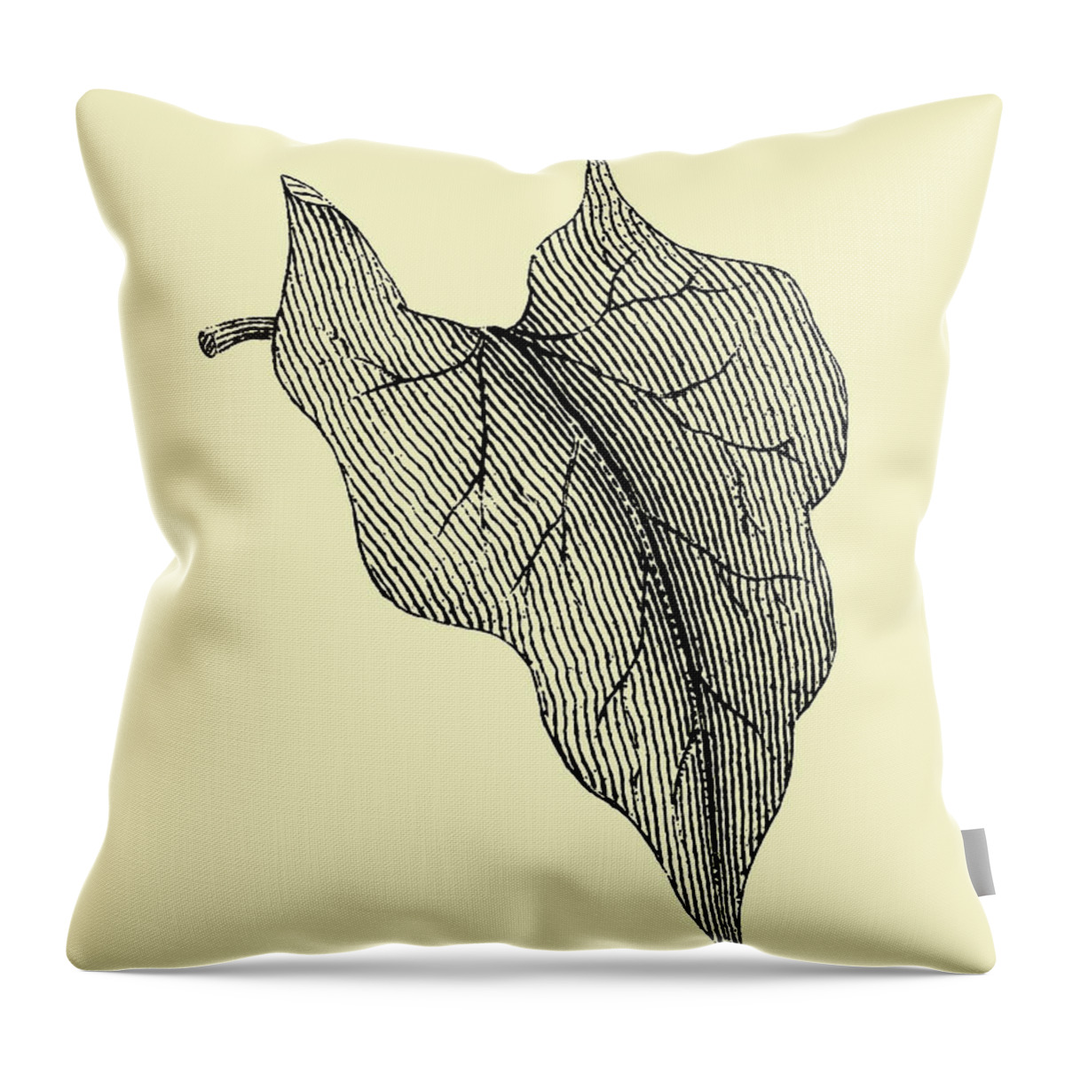 Leaf Throw Pillow featuring the mixed media Leaf 3 by Naxart Studio