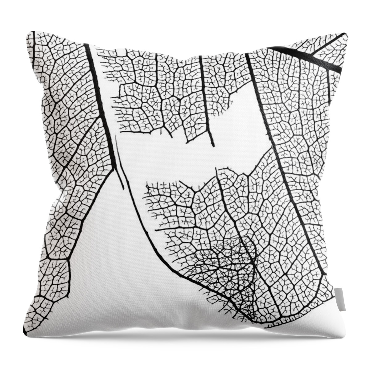 Leaf Throw Pillow featuring the photograph Leaf Design by Christopher Johnson