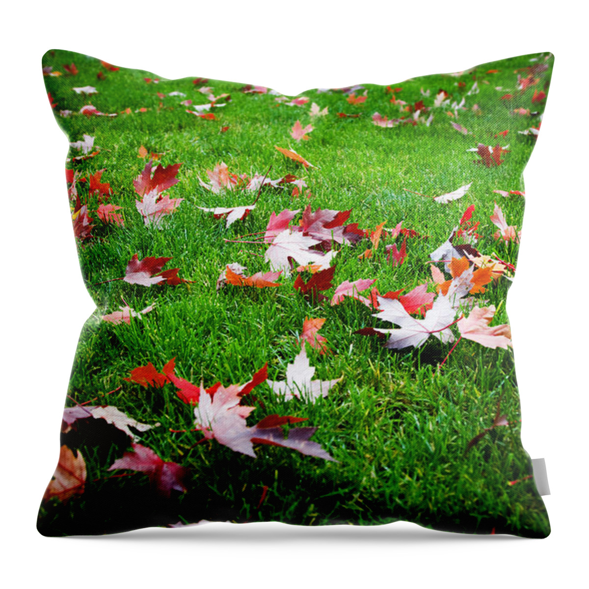 Orange Color Throw Pillow featuring the photograph Leafy Lawn by Kativ
