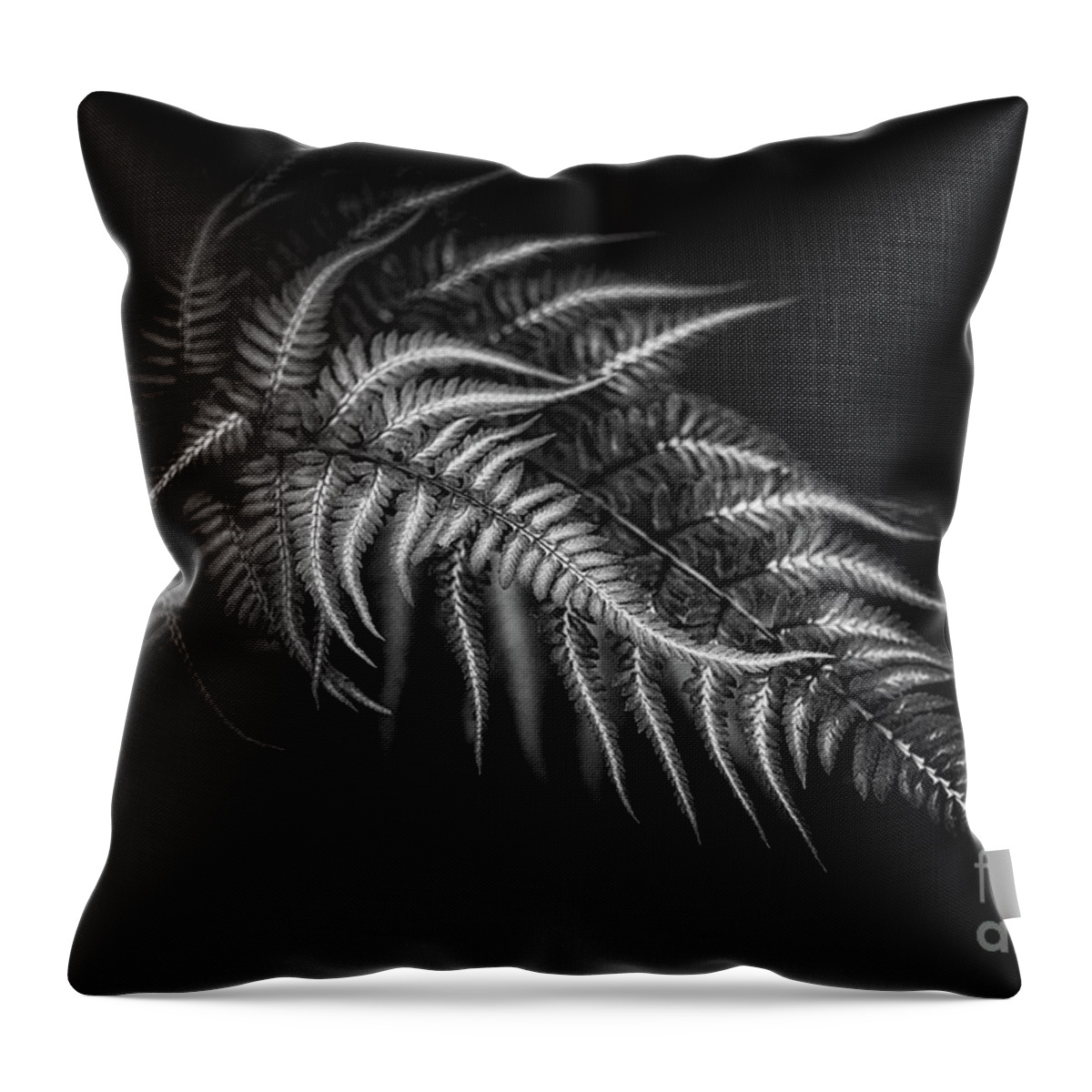 Botanical Throw Pillow featuring the photograph Lean on Me by Venetta Archer