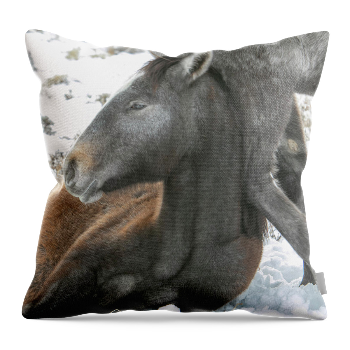 Horse Throw Pillow featuring the photograph Leaning On Mom by Kent Keller