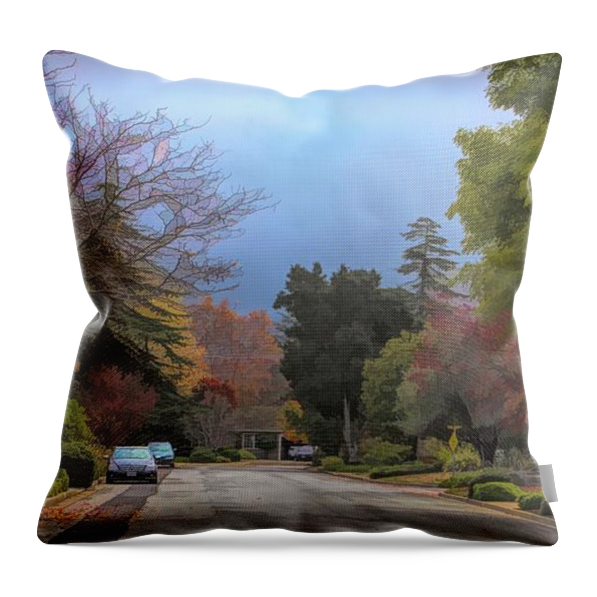 Autumn Throw Pillow featuring the photograph Leaves Begin to Fall, Autumn is Over by Chuck Kuhn