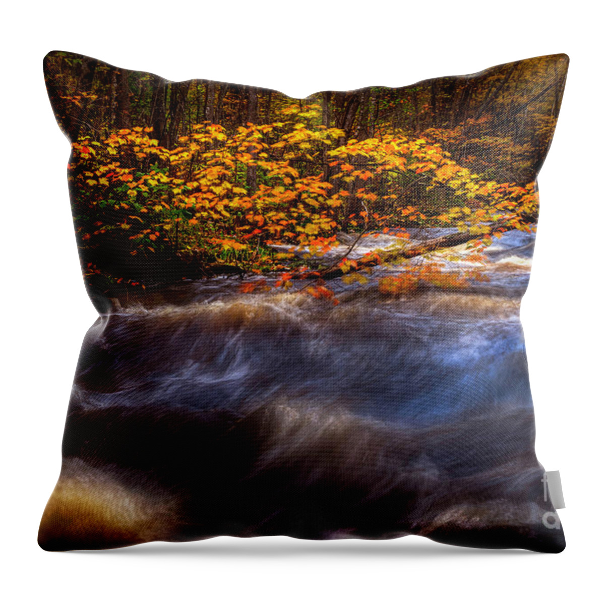 Nature Throw Pillow featuring the photograph Leaves Bouncing by Bill Frische