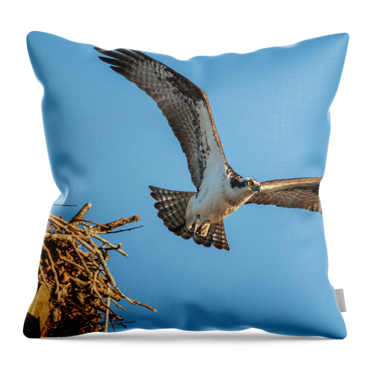 Nature Throw Pillow featuring the photograph Leaving The Nest by Cathy Kovarik