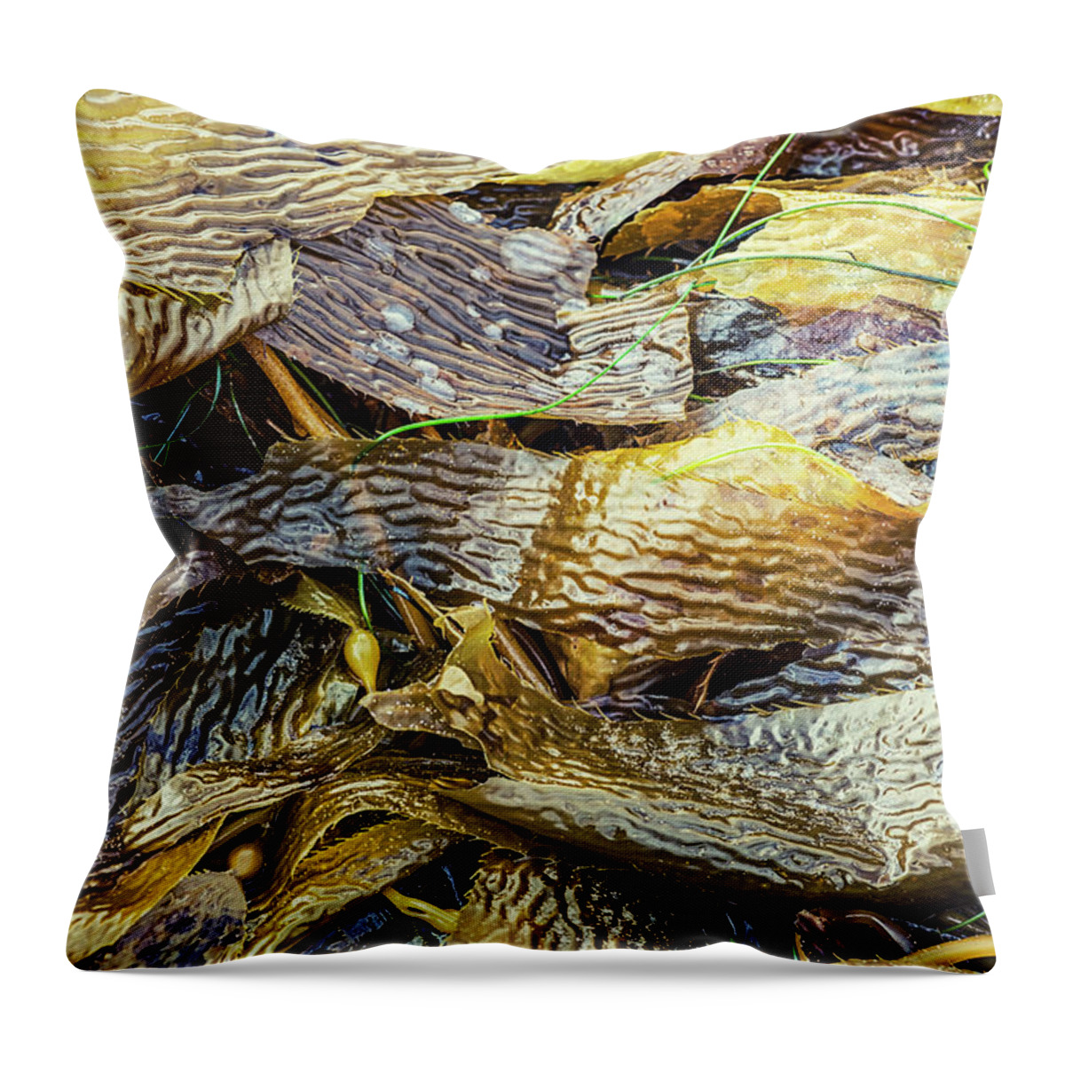 Beach Throw Pillow featuring the photograph Left By The Sea #7 by Joseph S Giacalone