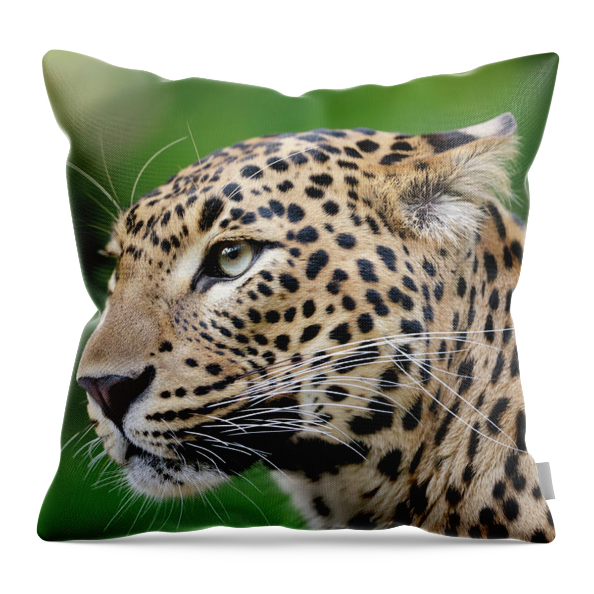 Big Cat Throw Pillow featuring the photograph Leopard by Freder