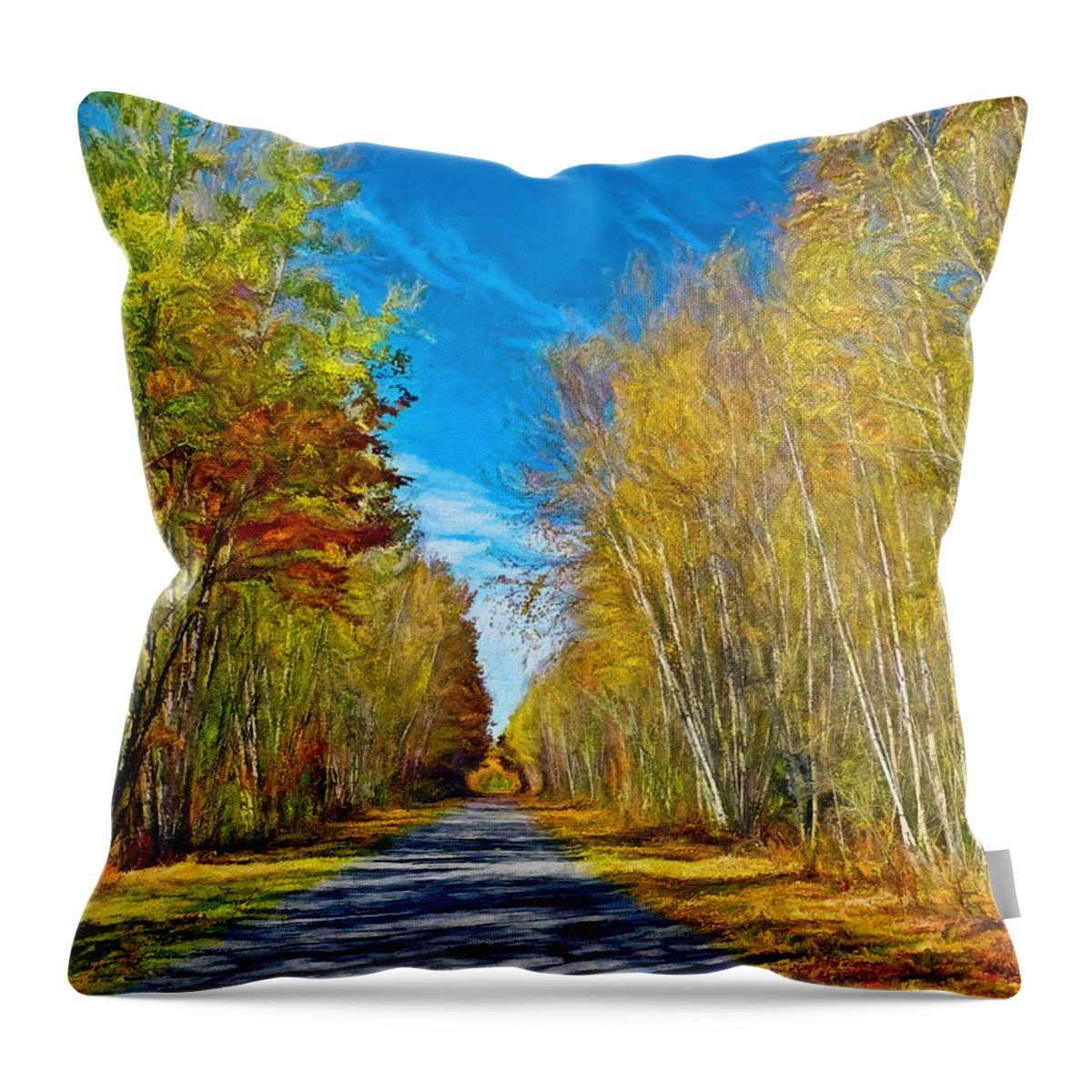 Birches Throw Pillow featuring the photograph Down the Spring Birch Road by Carol Randall