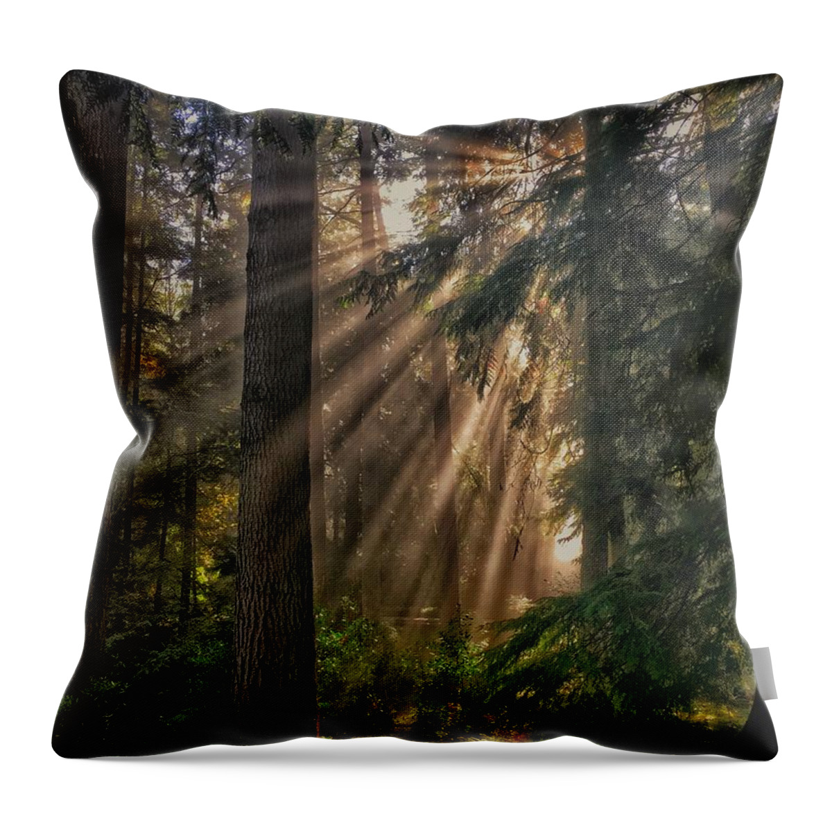 Forest Throw Pillow featuring the photograph Let There Be Light by Jerry Abbott