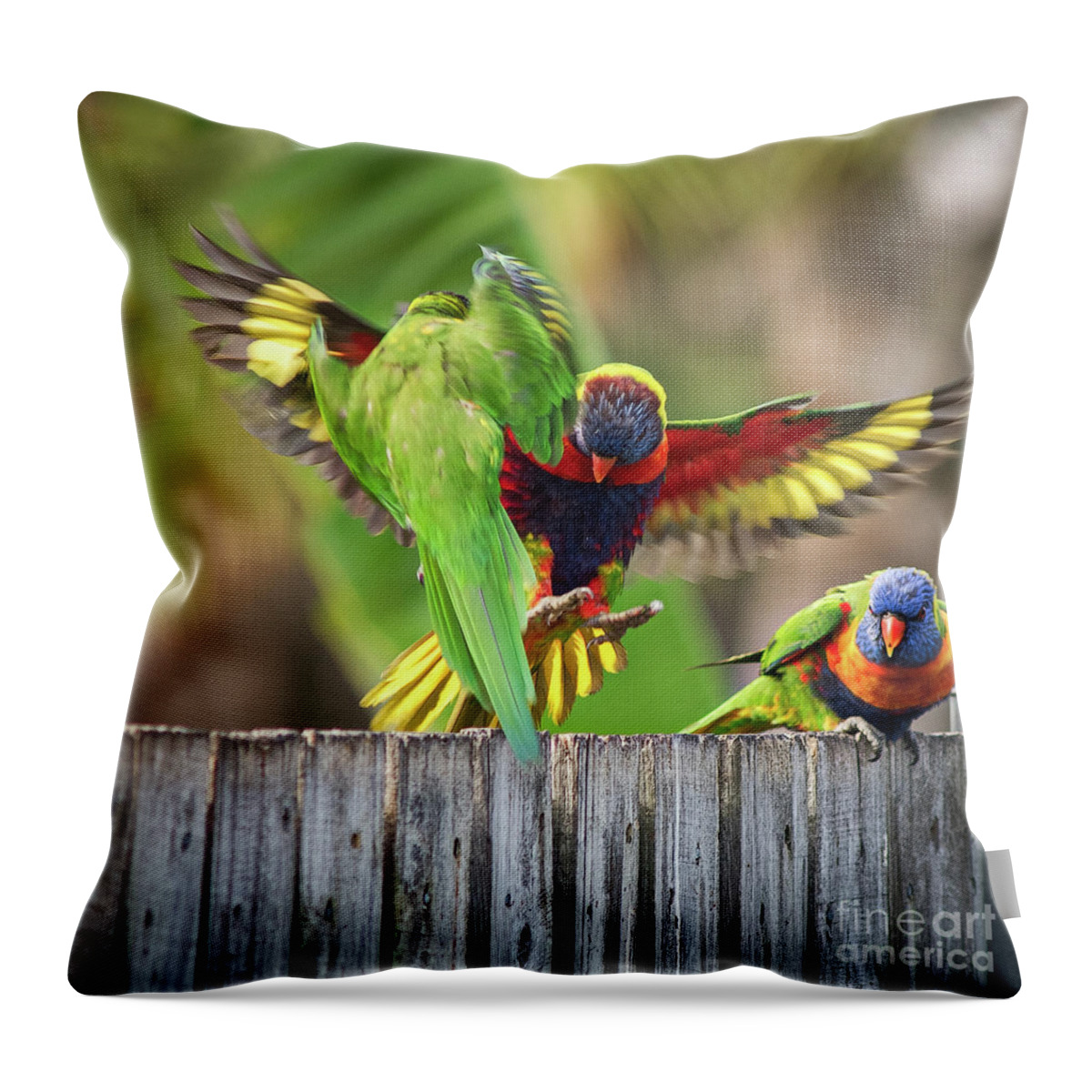 Birds Throw Pillow featuring the photograph Let's dance by Russell Brown