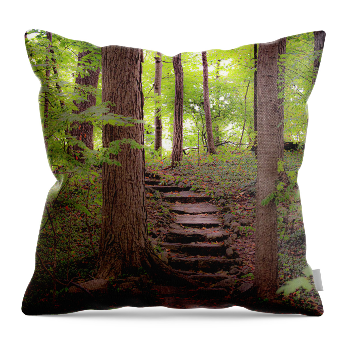 Woods Throw Pillow featuring the photograph Lets Take A Walk by Diane Lindon Coy