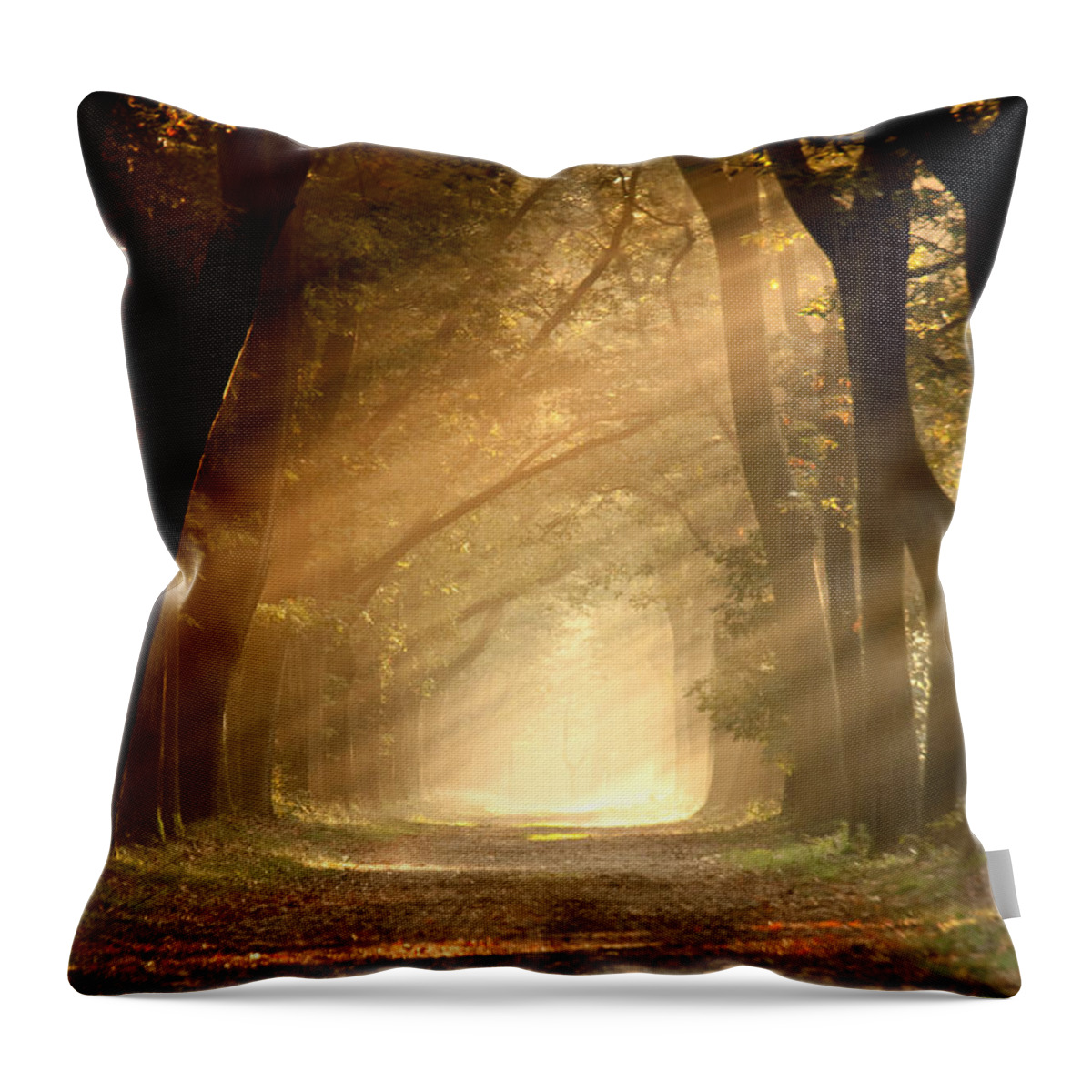 Tranquility Throw Pillow featuring the photograph Life Is Like A Forrest, You Can Never by Dewollewei