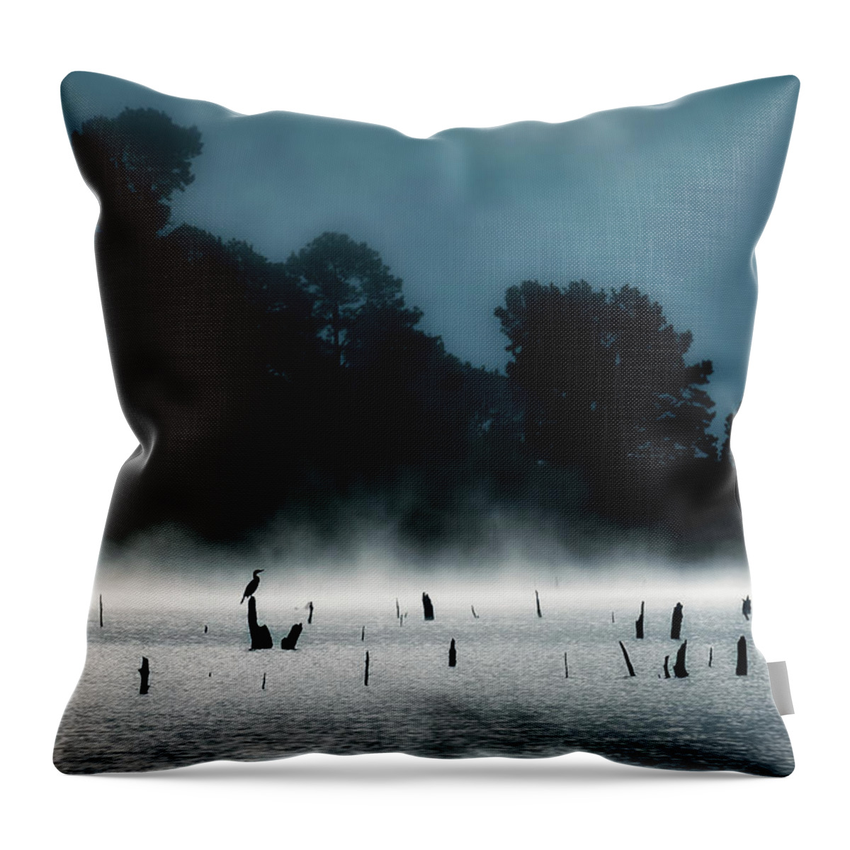 Cormorant Throw Pillow featuring the photograph Lifeguard by James Barber