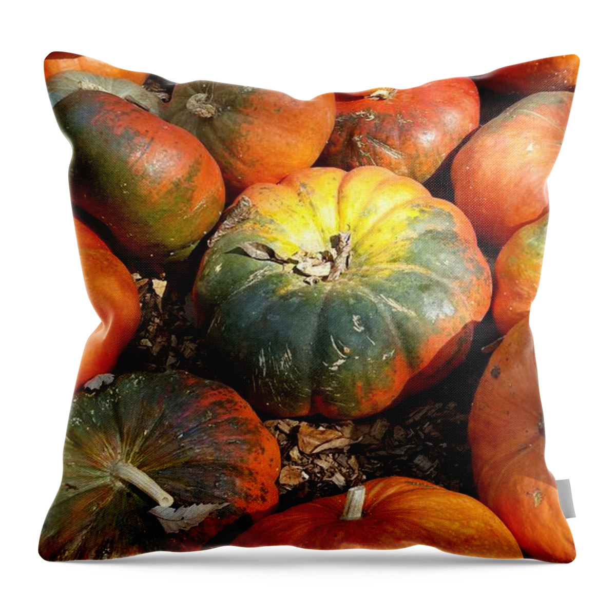 Pumpkins Throw Pillow featuring the photograph Light Contrast and Pumpkins by Ally White