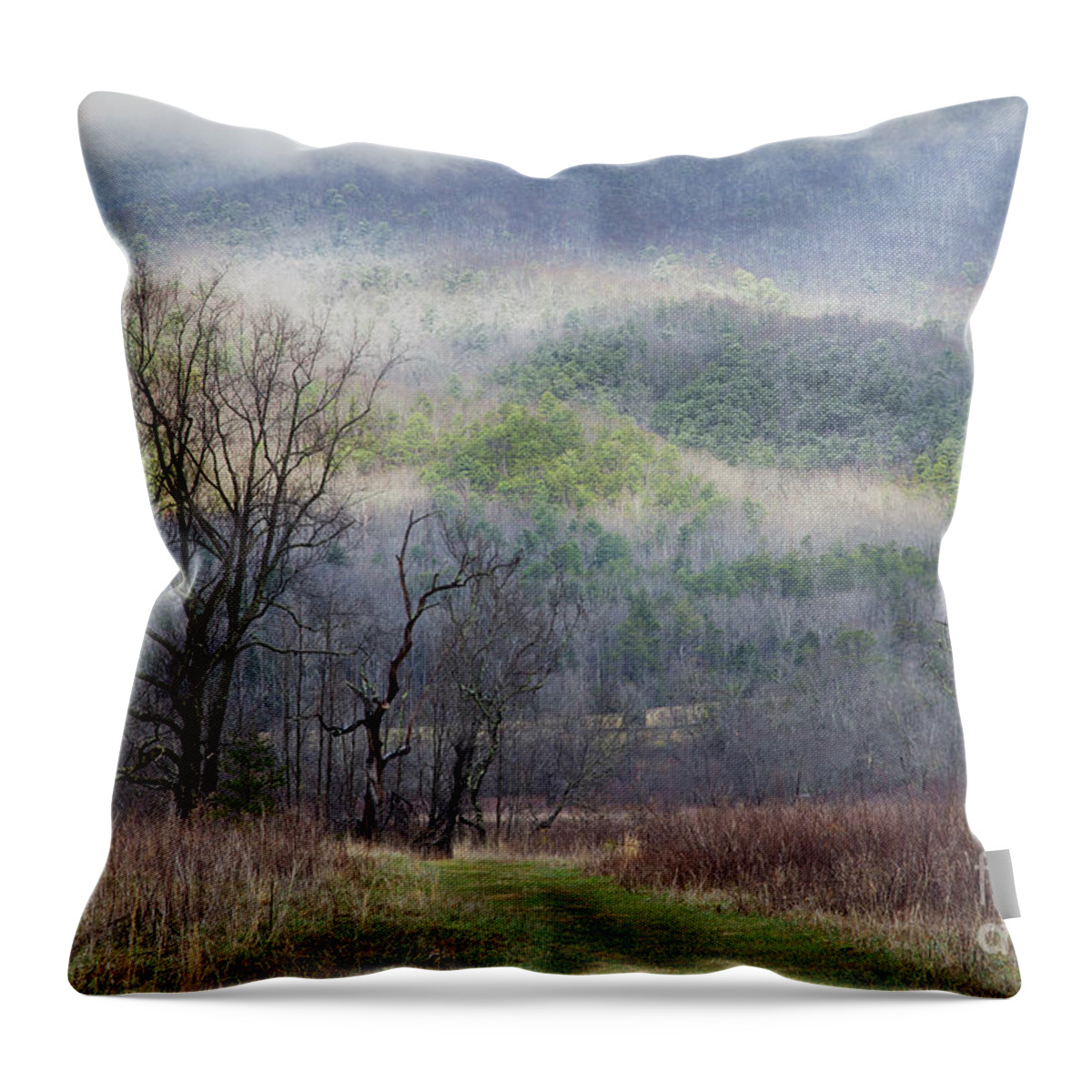 Smoky Mountains Throw Pillow featuring the photograph Light Mountain Snow by Mike Eingle