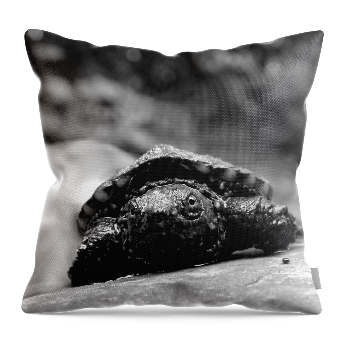Snapping Throw Pillow featuring the photograph Lil Snapper by Danielle R T Haney