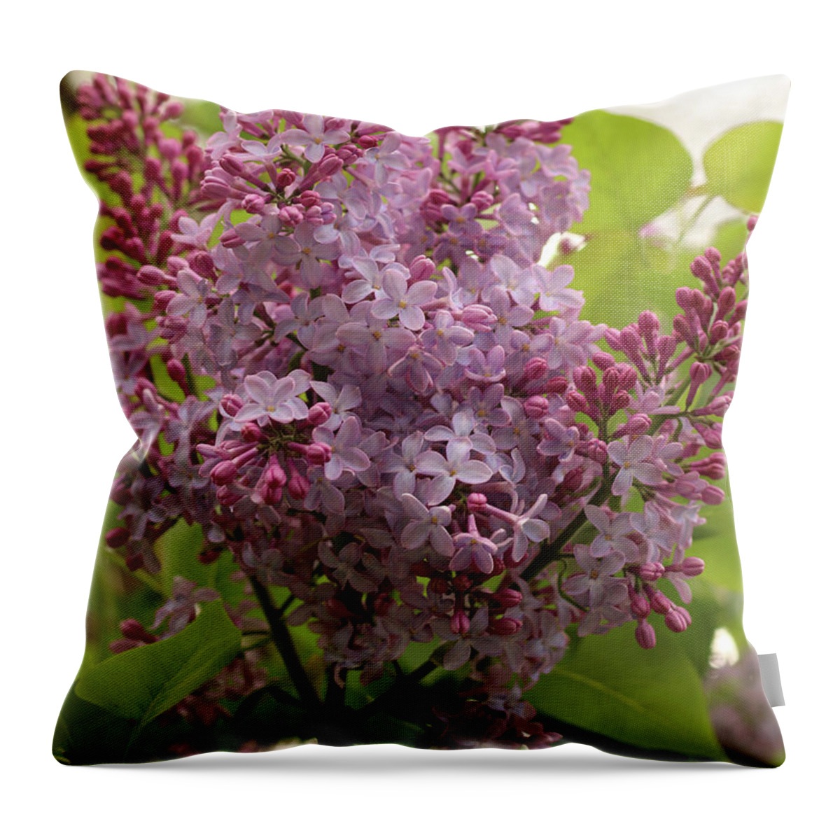 Spring Throw Pillow featuring the photograph Lilac Explosion by Laurie Lago Rispoli