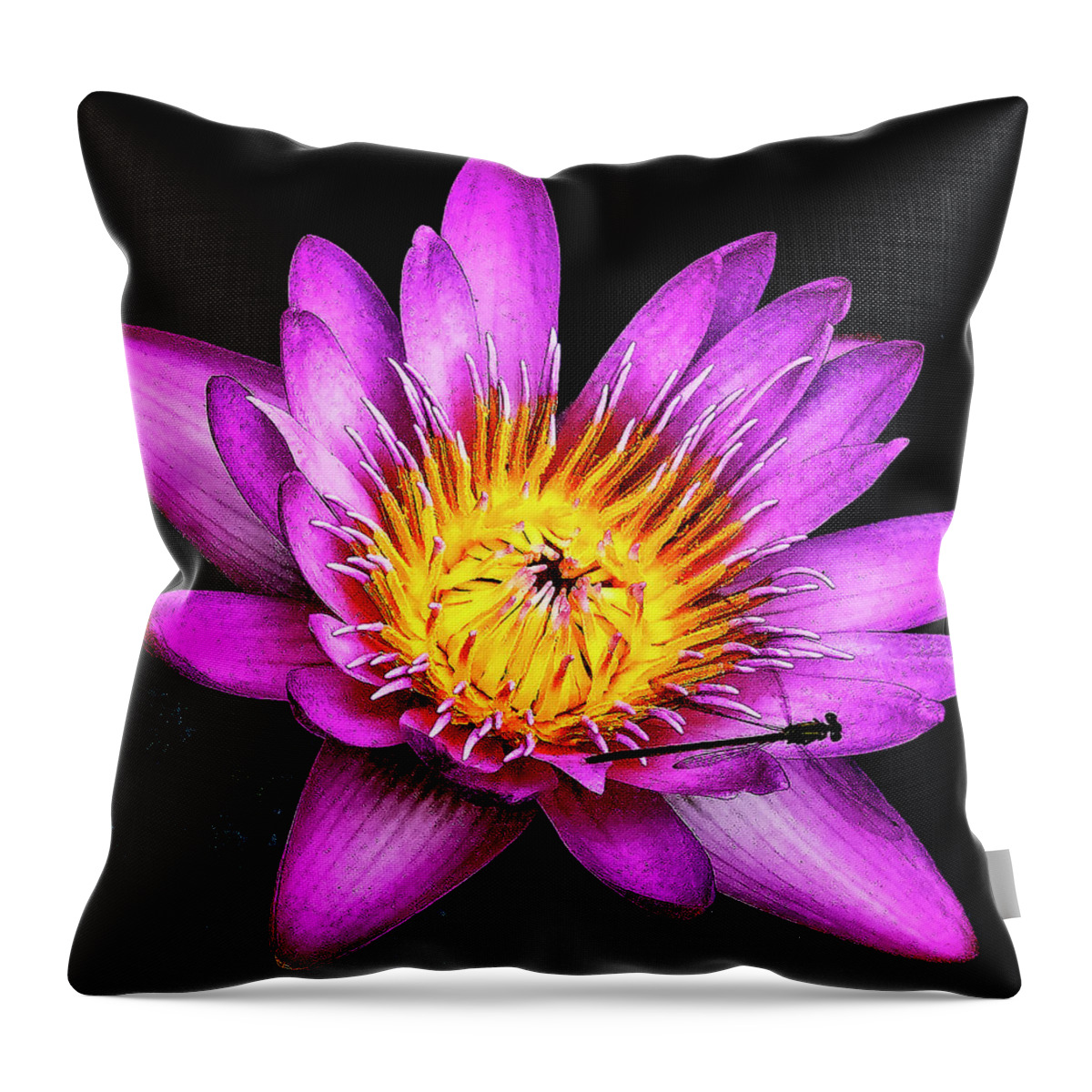 Flower Throw Pillow featuring the photograph Lilly Pad Bloom by Jerry Connally