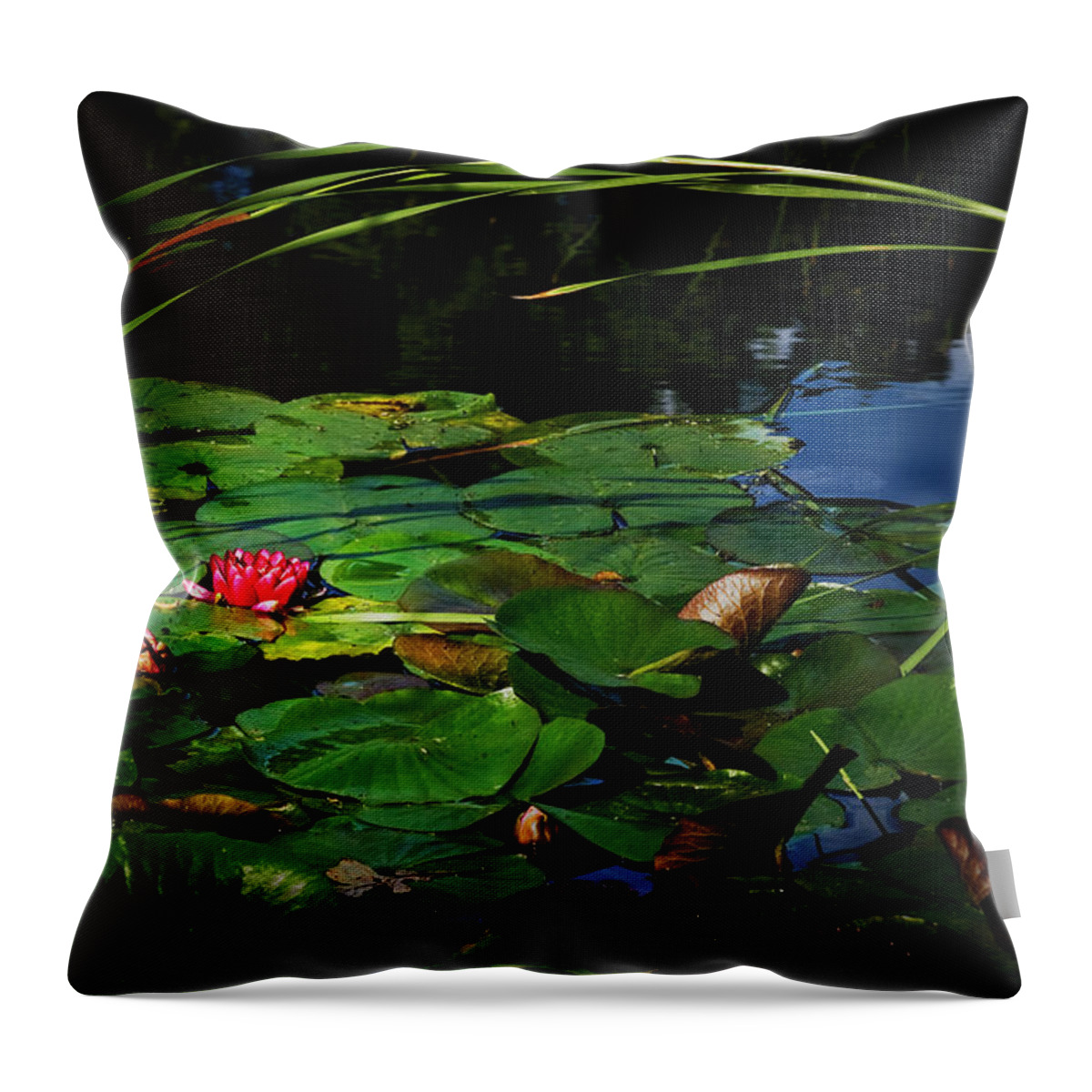 Flower Throw Pillow featuring the photograph Lily Arch by John Christopher