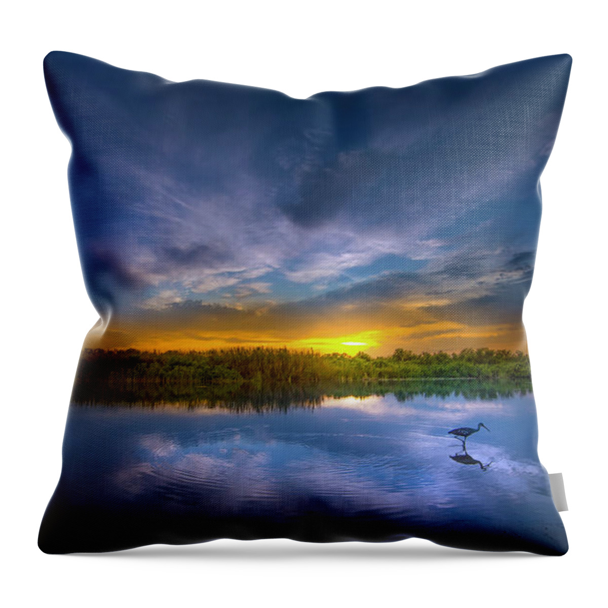 Sunset Throw Pillow featuring the photograph Limpkin Sunset by Mark Andrew Thomas