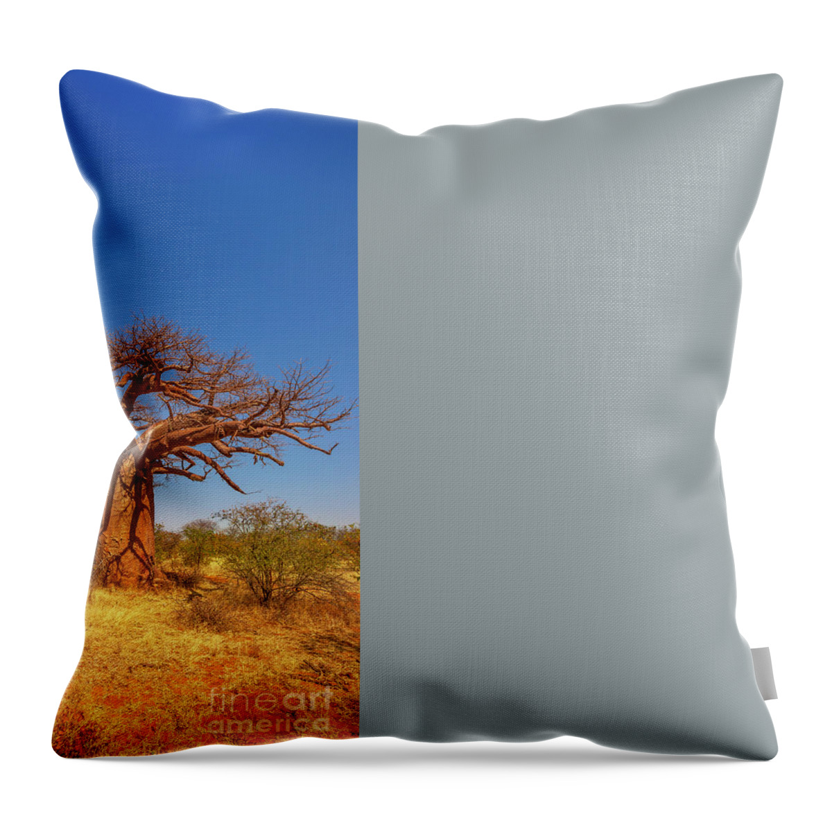 Baobab Throw Pillow featuring the photograph Limpopo Baobab tree by Benny Marty