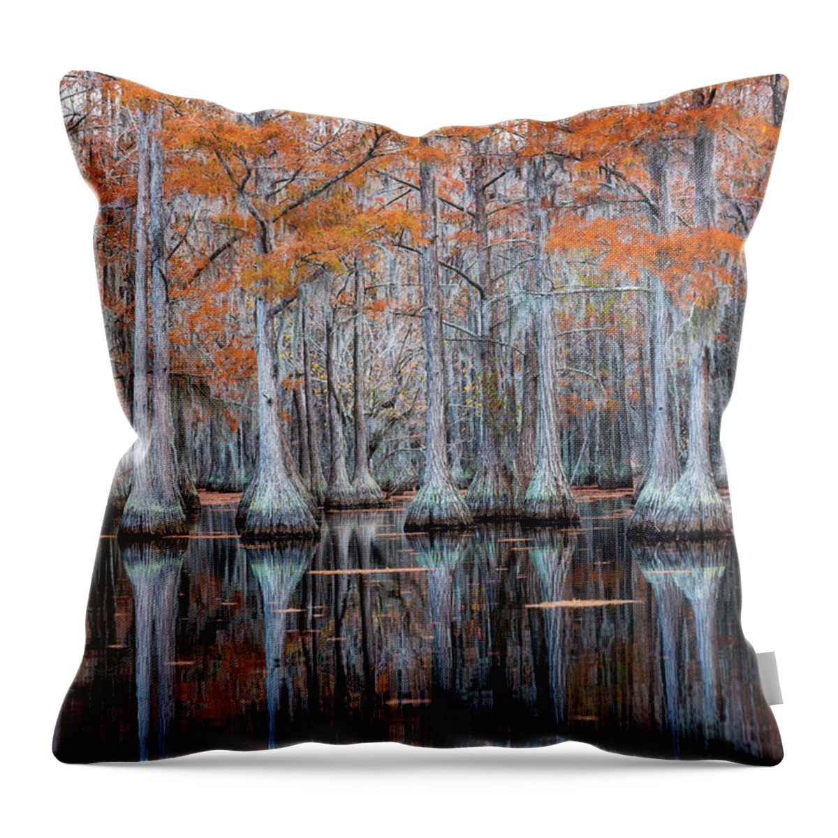 Abstract Throw Pillow featuring the photograph Line of Cypress by Alex Mironyuk